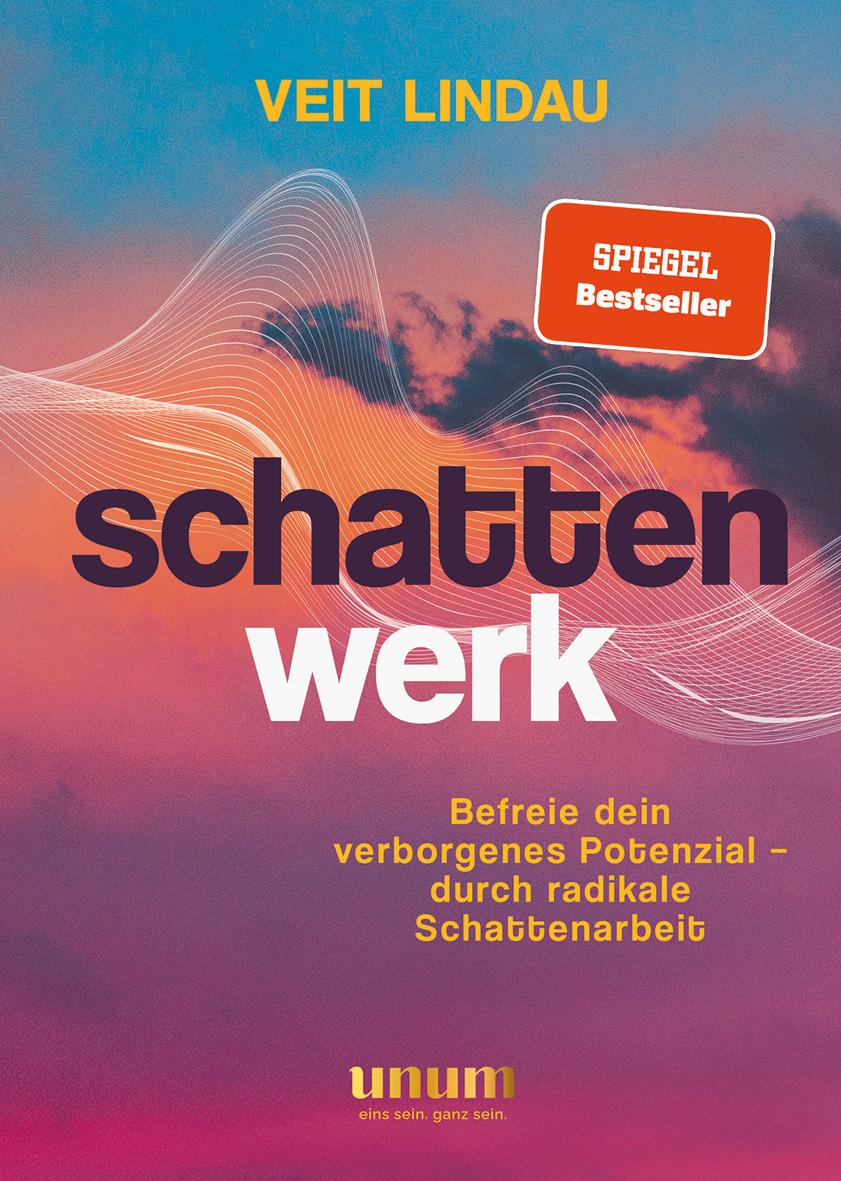 Vorderes Coverbild Schattenwerk