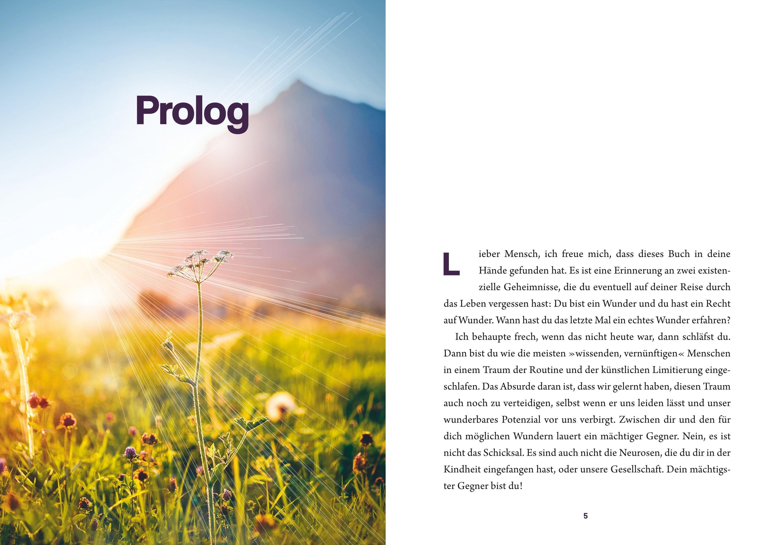 Beispielinhalt (Bild) Wunderwerk