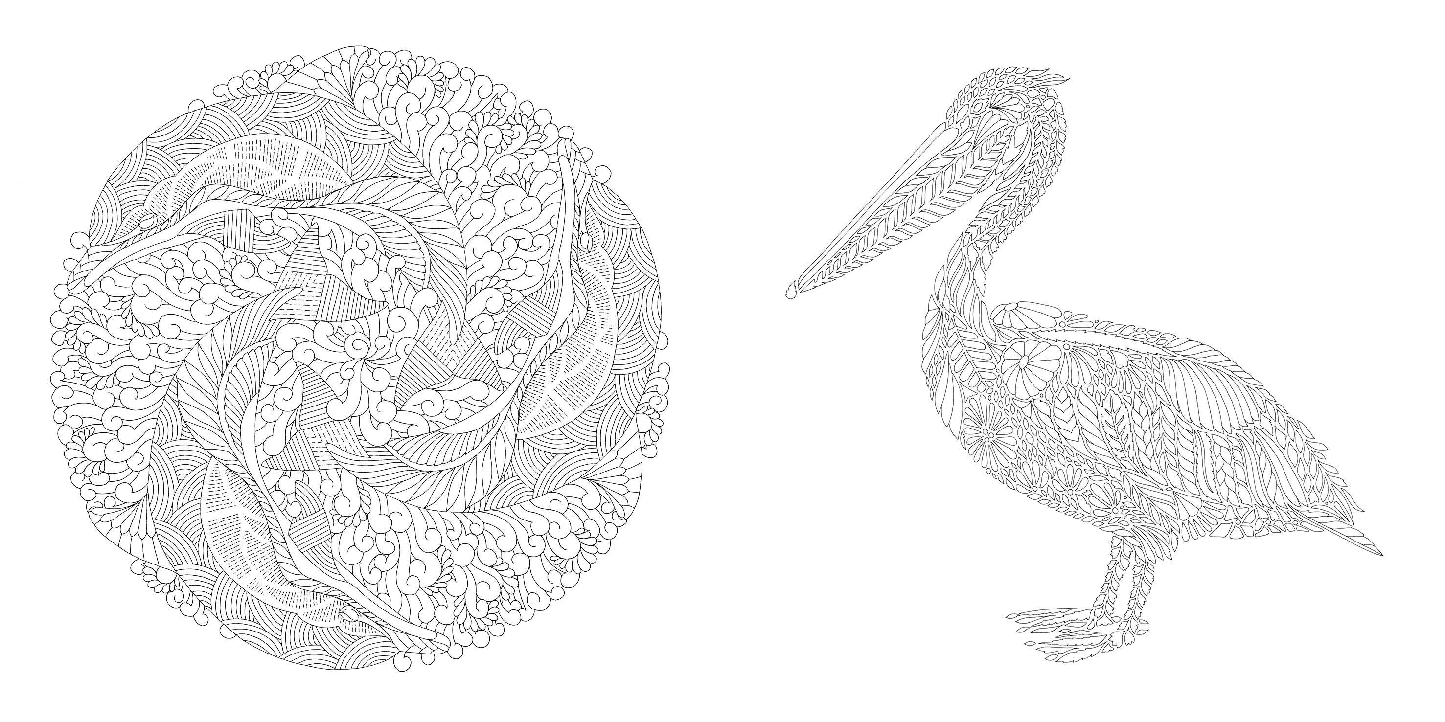 Beispielinhalt (Bild) Millie Marotta's Geheimnis des Meeres - Die schönsten Ausmal-Abenteuer