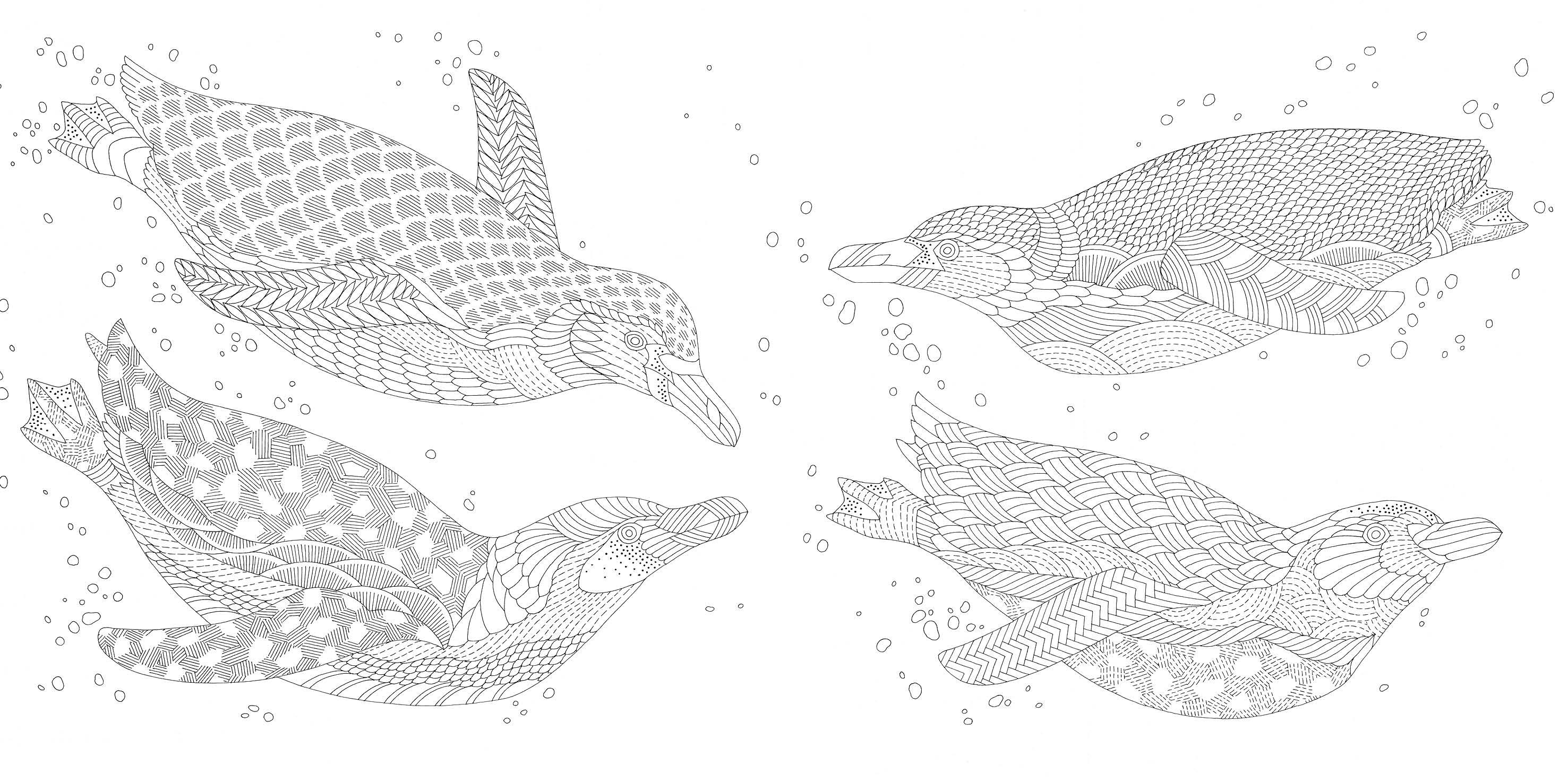 Beispielinhalt (Bild) Millie Marotta's Geheimnis des Meeres - Die schönsten Ausmal-Abenteuer