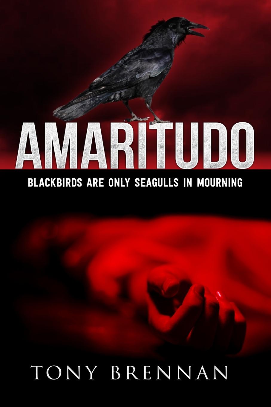 Vorderes Coverbild Amaritudo