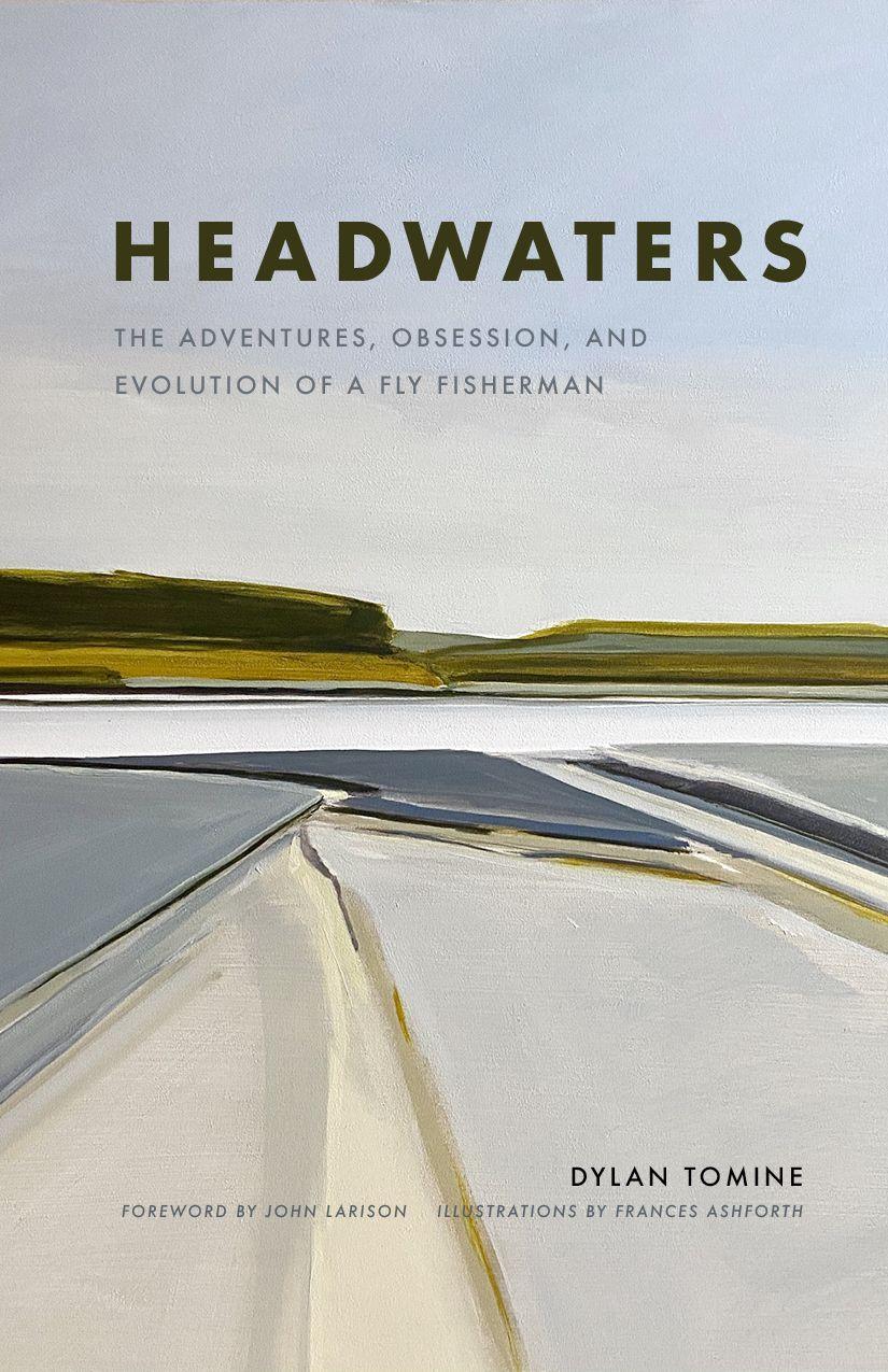 Vorderes Coverbild Headwaters