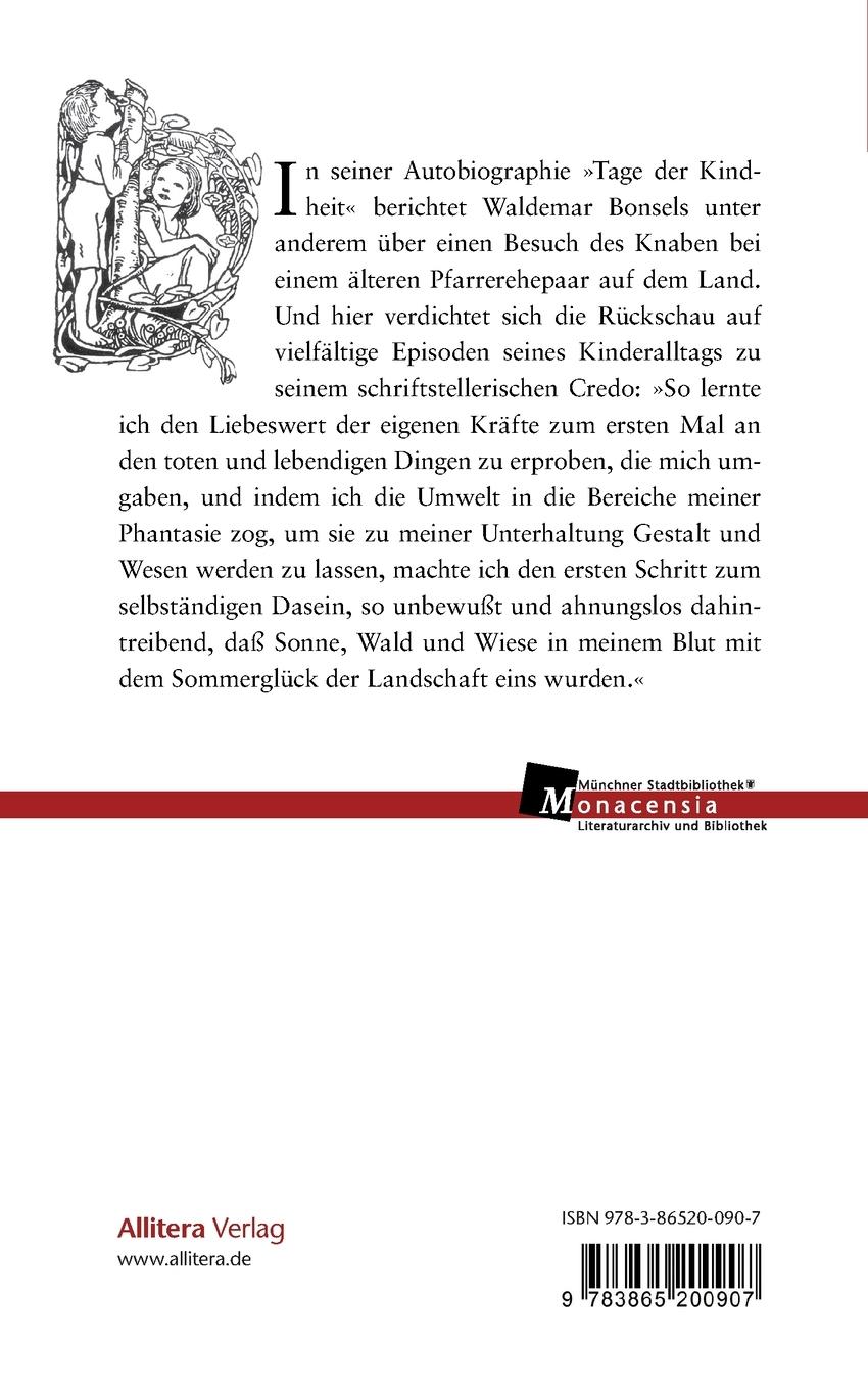 Rückseitencover Tage der Kindheit