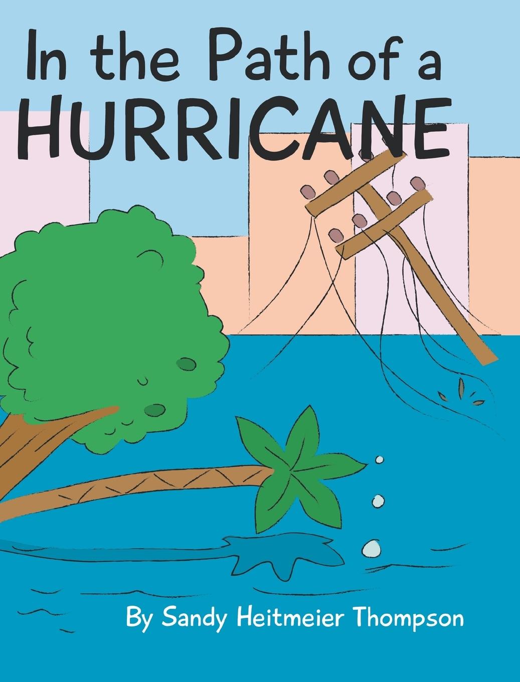 Vorderes Coverbild In the Path of a Hurricane