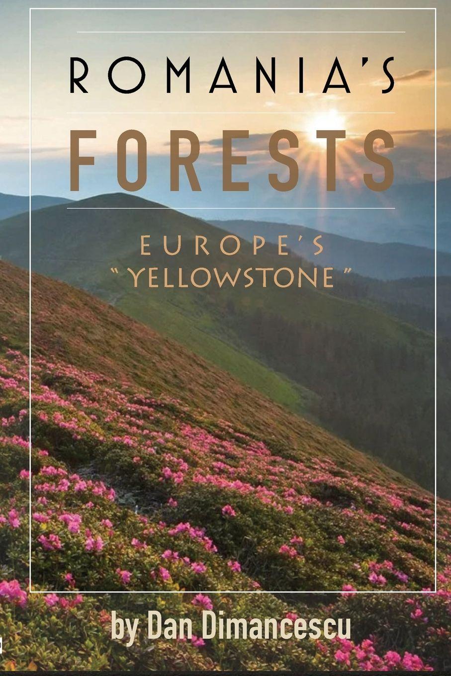 Vorderes Coverbild ROMANIA'S FORESTS