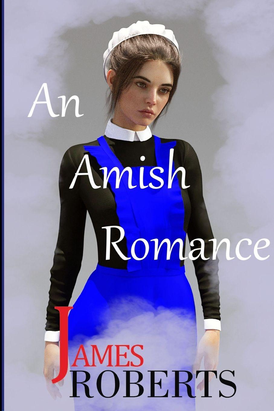 Vorderes Coverbild An Amish Romance