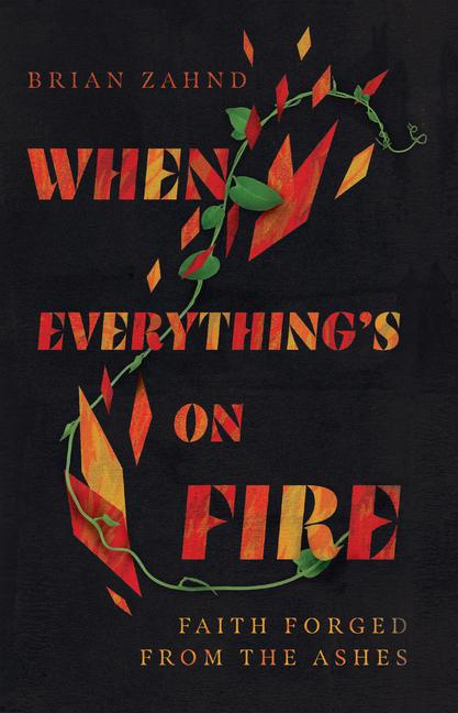 Vorderes Coverbild When Everything's on Fire