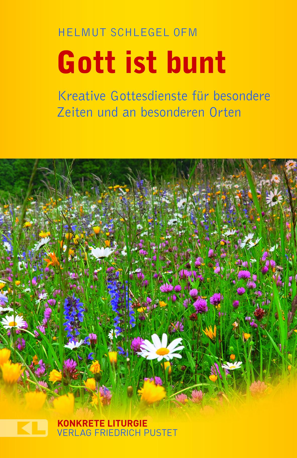 Vorderes Coverbild Gott ist bunt