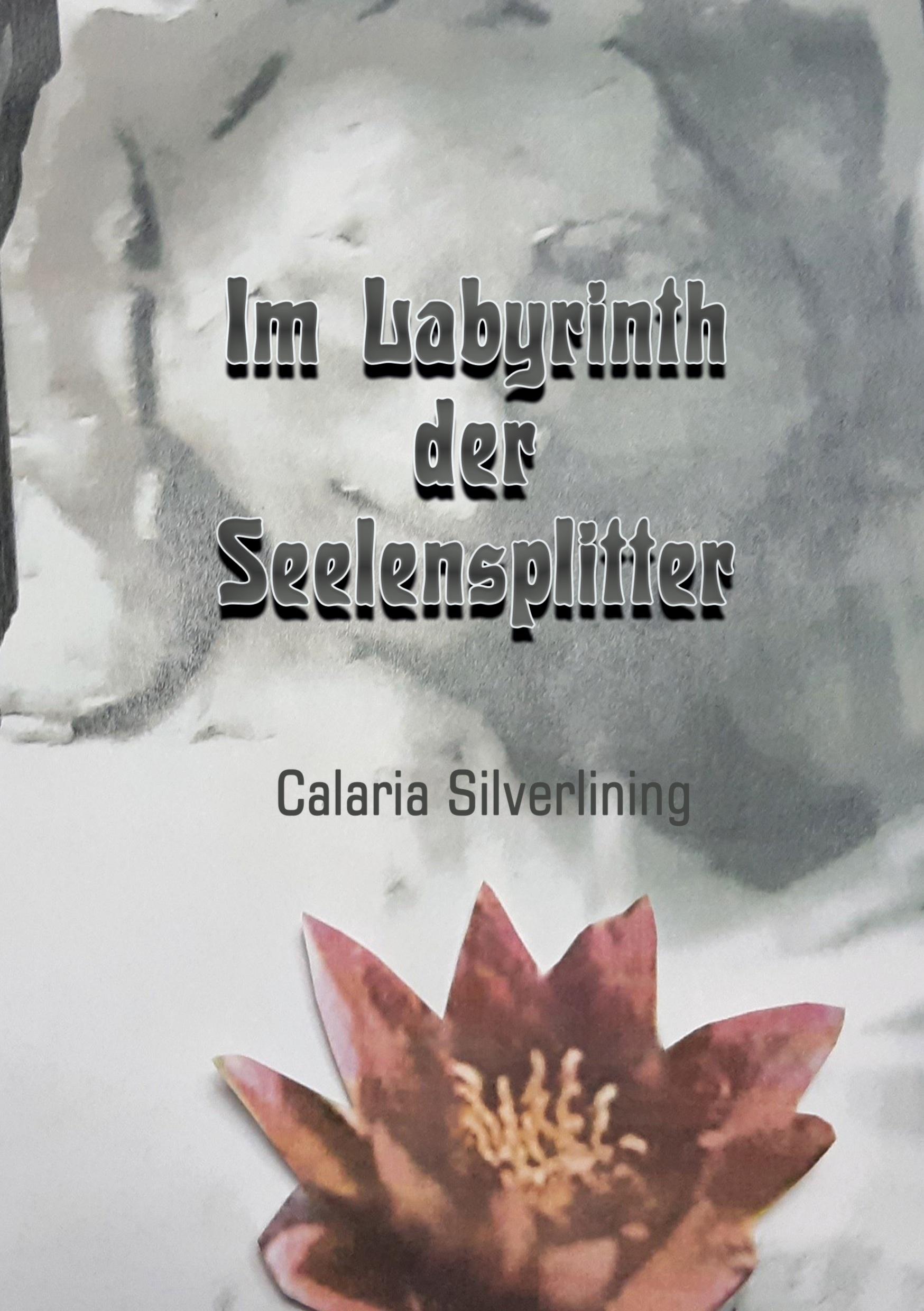 Vorderes Coverbild Im Labyrinth der Seelensplitter