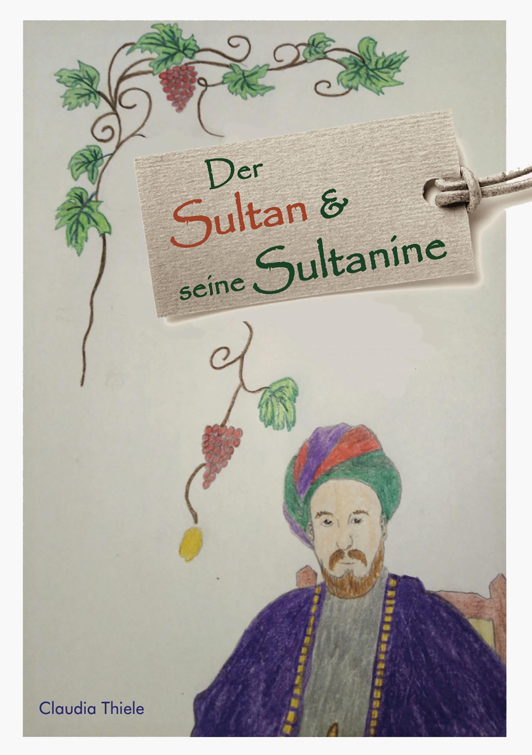 Vorderes Coverbild Der Sultan und seine Sultanine