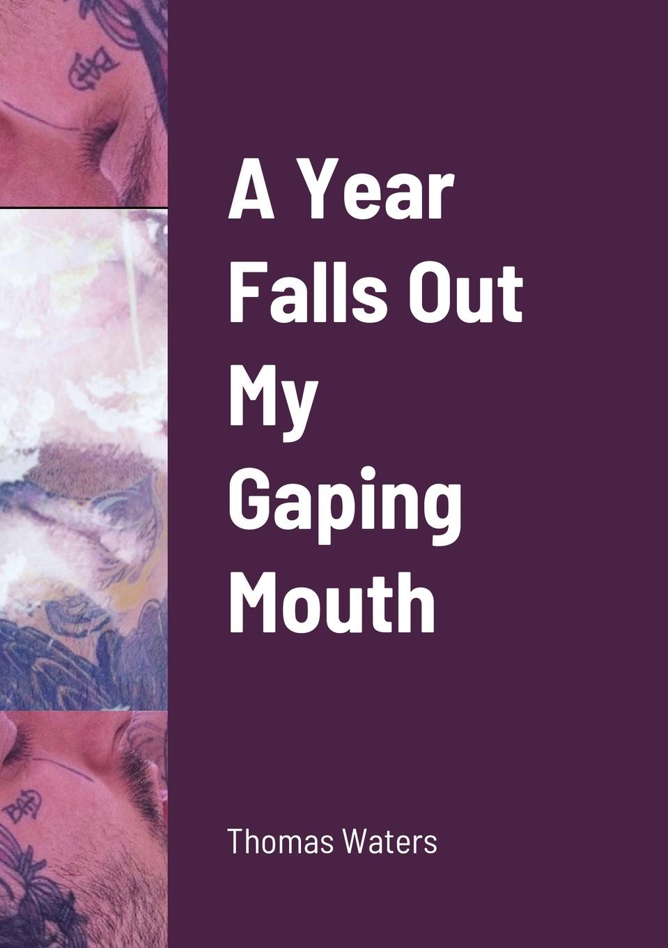 Vorderes Coverbild A Year Falls Out My Gaping Mouth