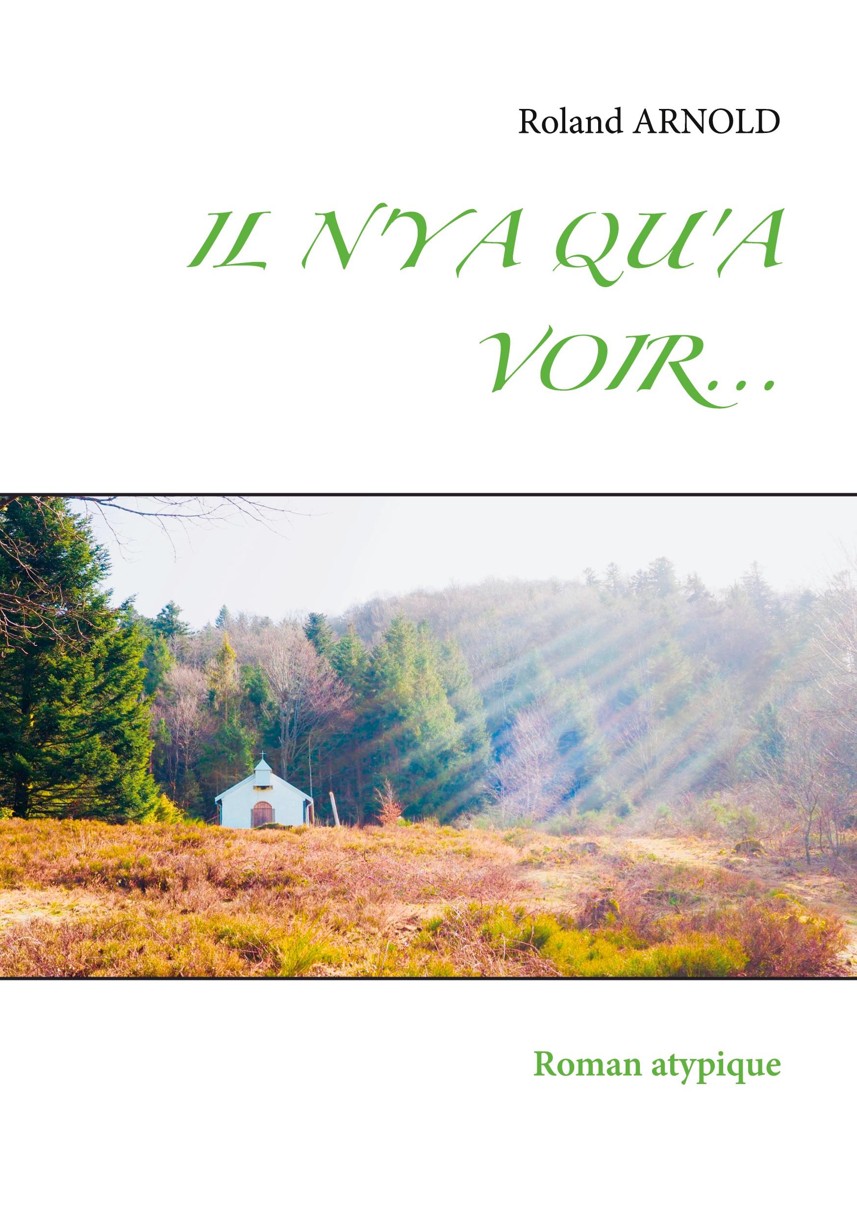 Vorderes Coverbild IL N'Y A QU'A VOIR...
