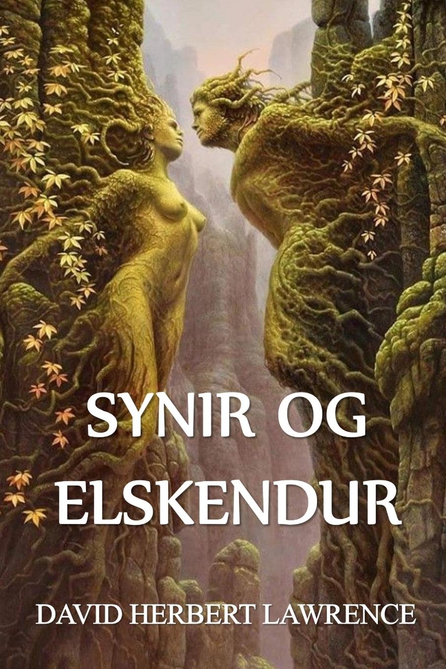 Vorderes Coverbild Synir og Elskendur