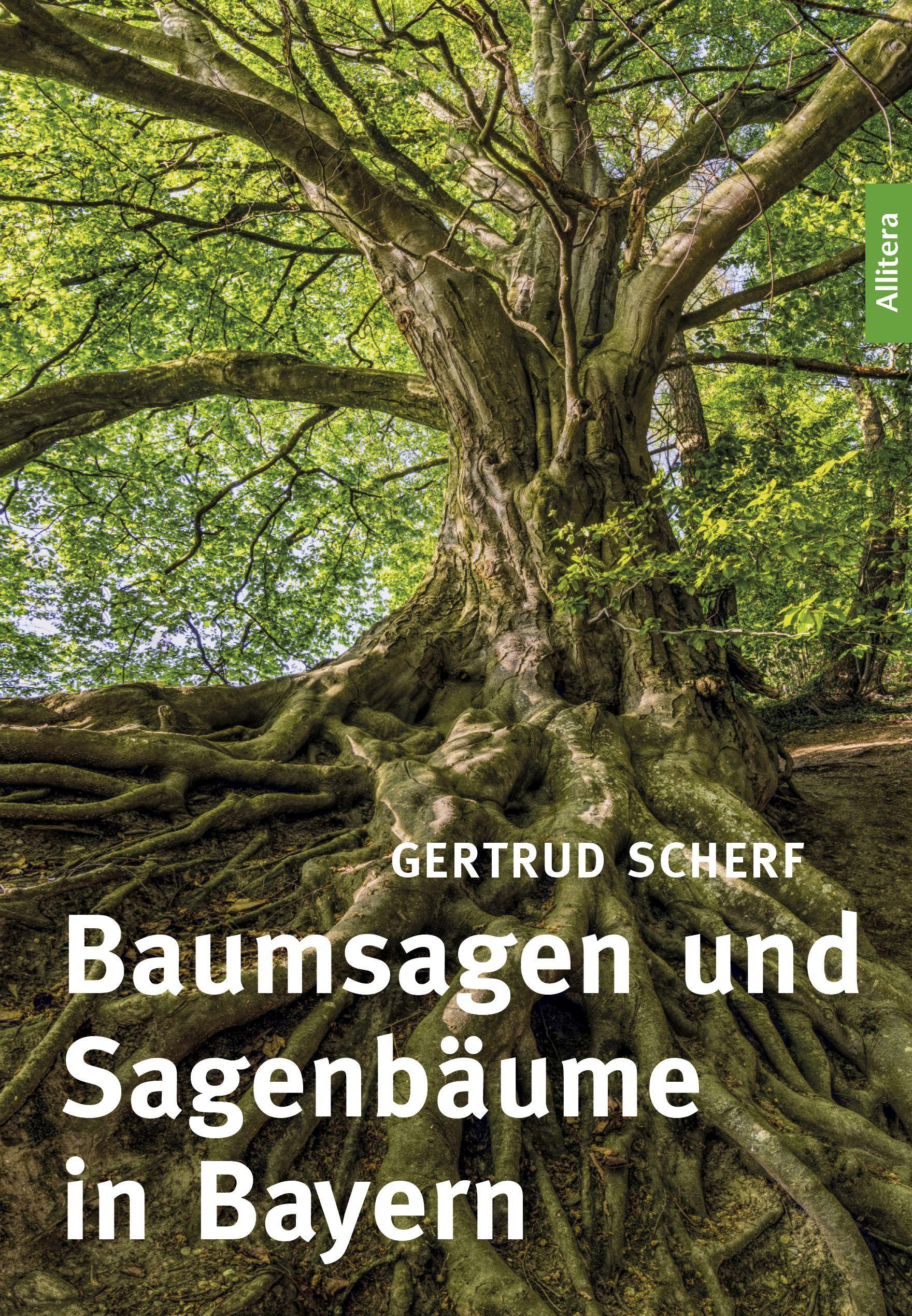 Vorderes Coverbild Baumsagen und Sagenbäume in Bayern