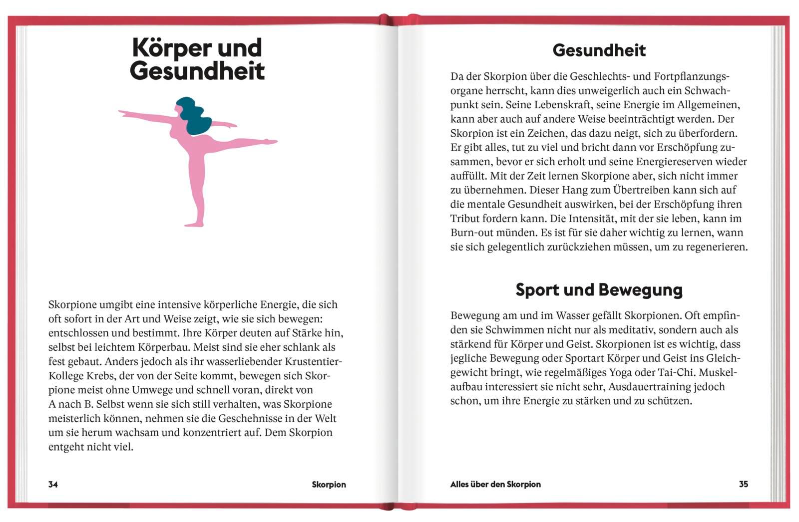 Beispielinhalt (Bild) Skorpion