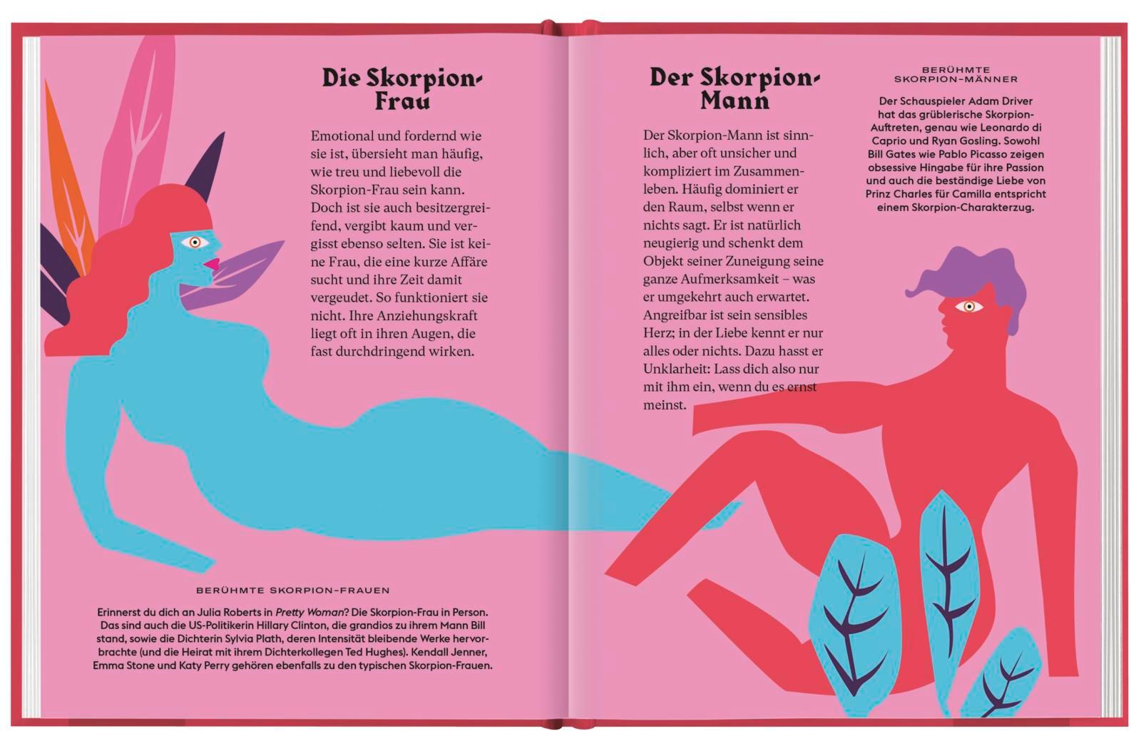 Beispielinhalt (Bild) Skorpion