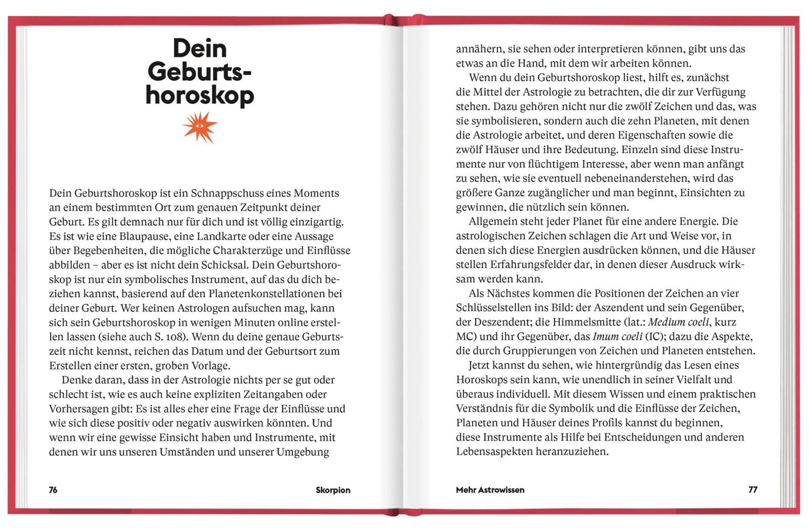 Beispielinhalt (Bild) Skorpion