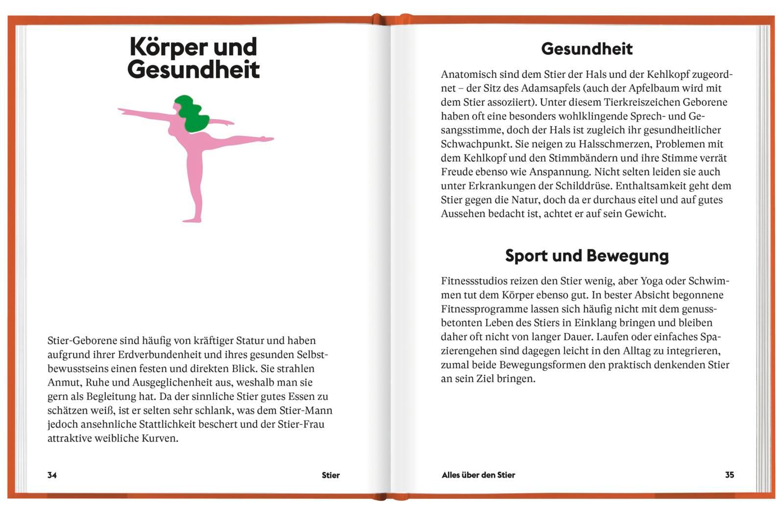 Beispielinhalt (Bild) Stier