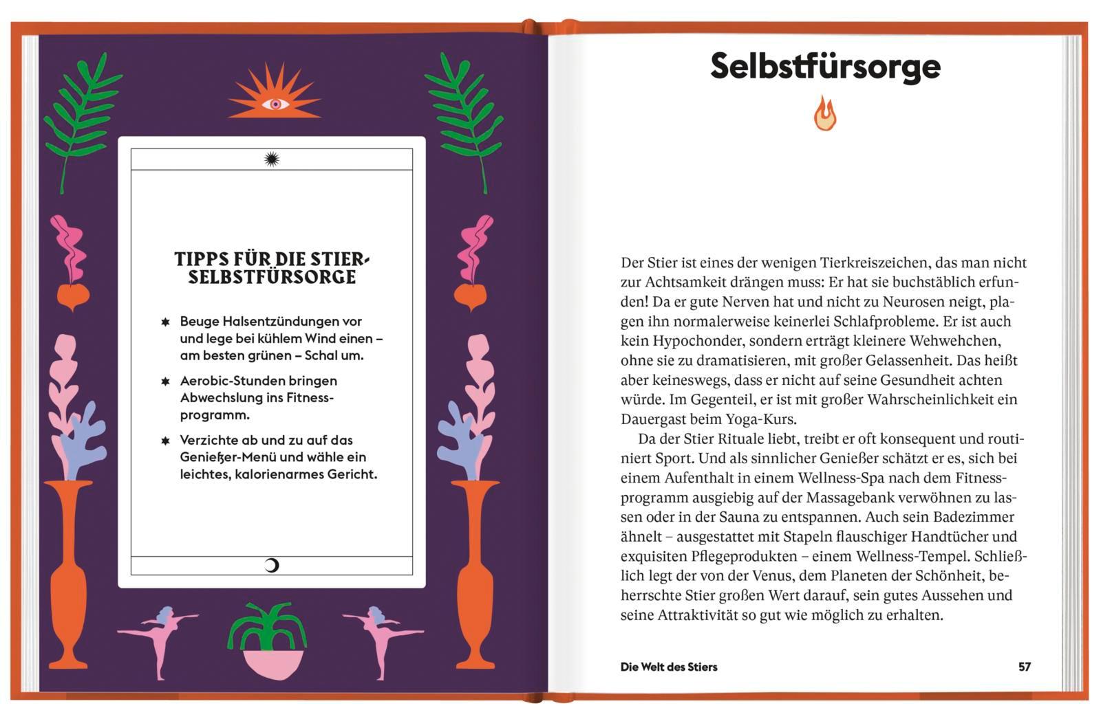 Beispielinhalt (Bild) Stier