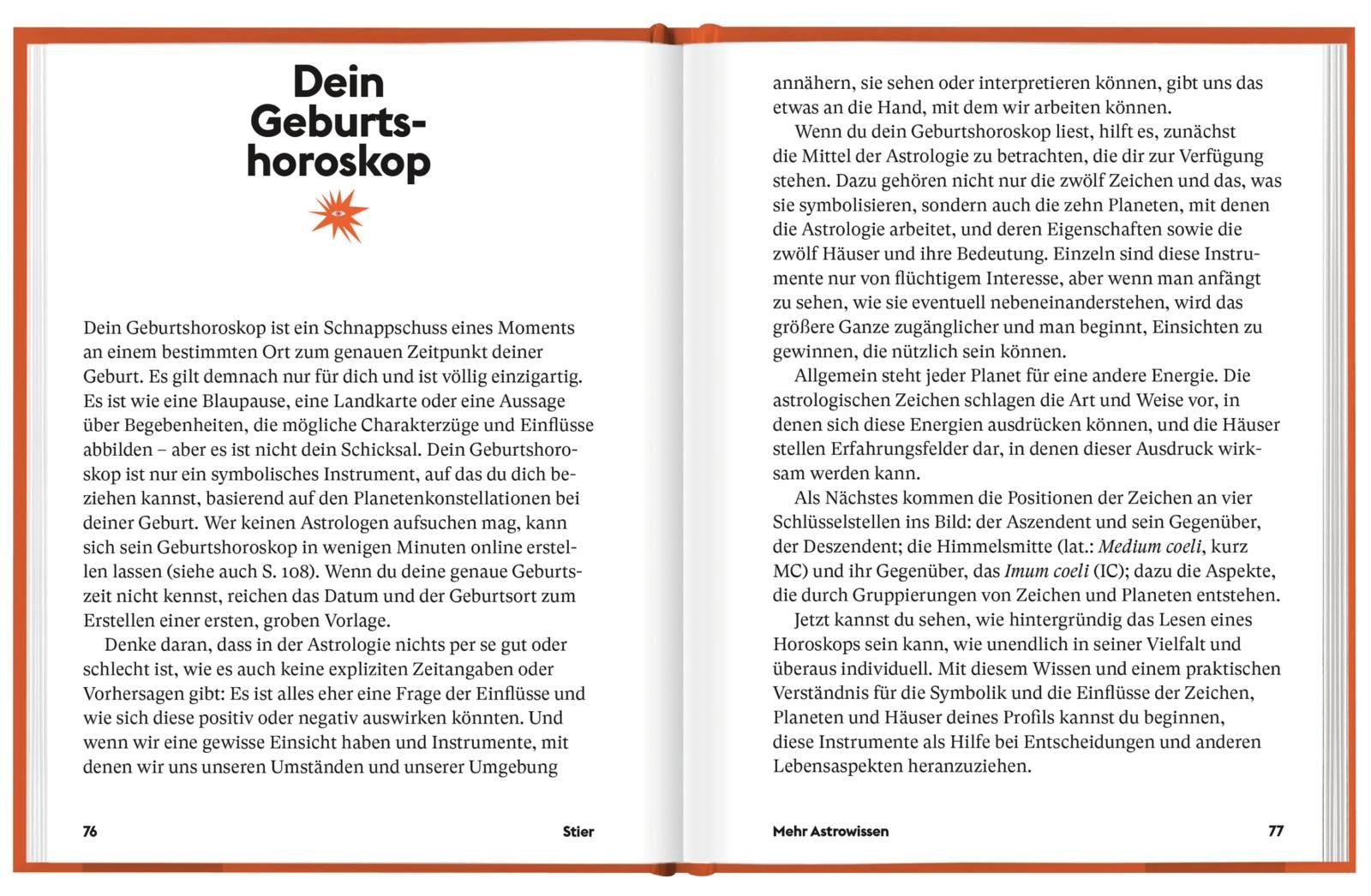 Beispielinhalt (Bild) Stier