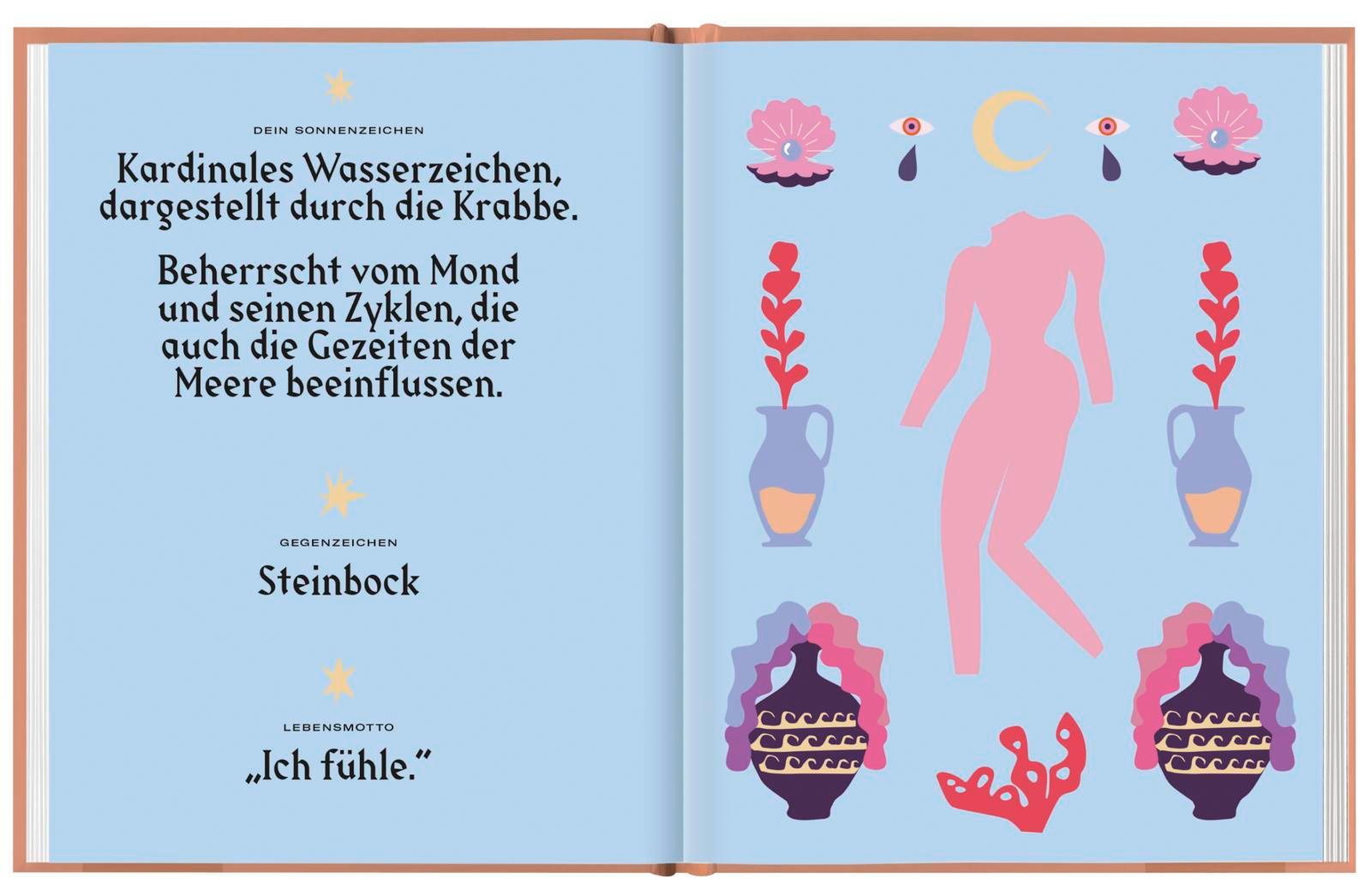 Beispielinhalt (Bild) Krebs