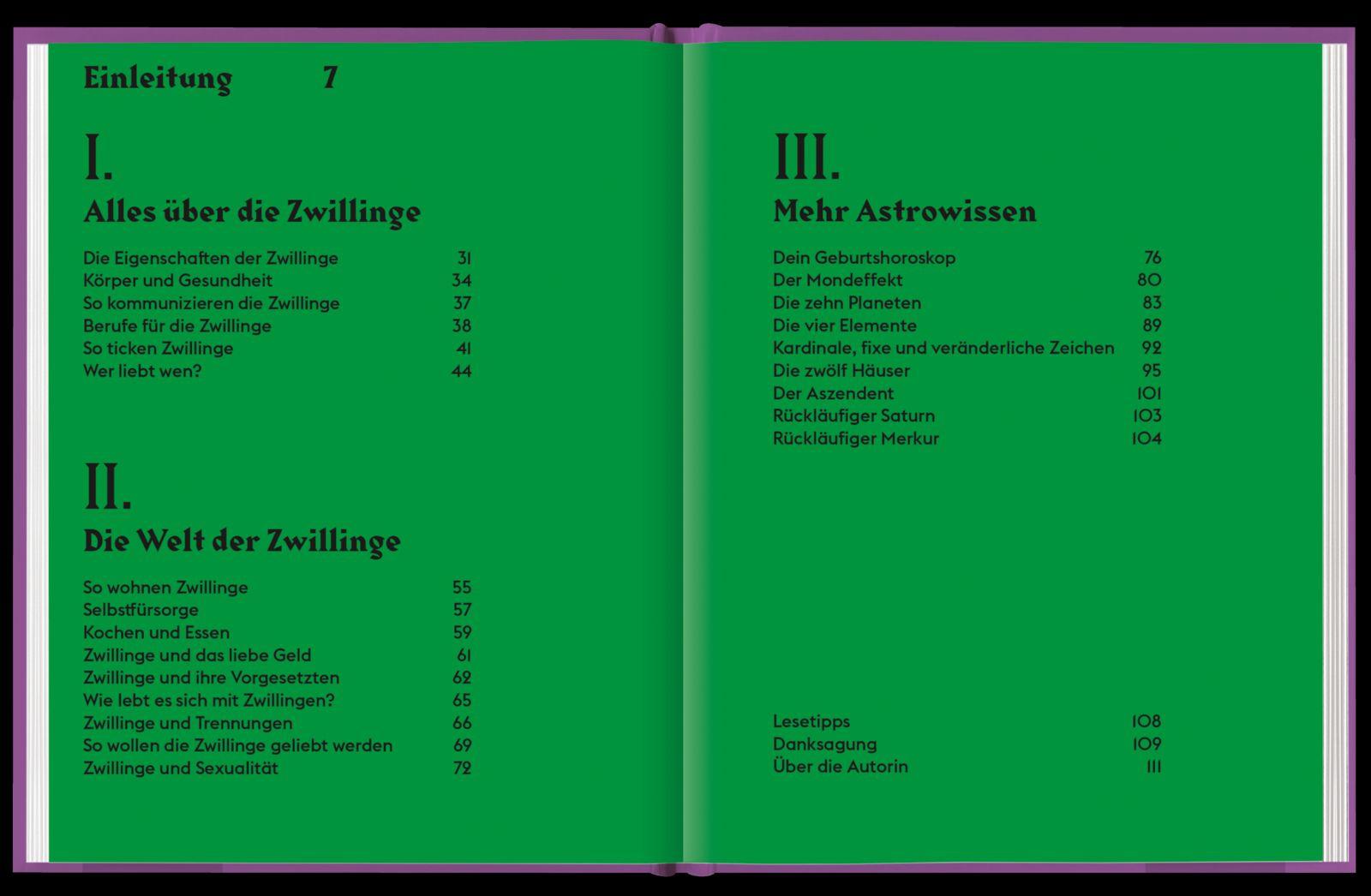 Beispielinhalt (Bild) Zwillinge