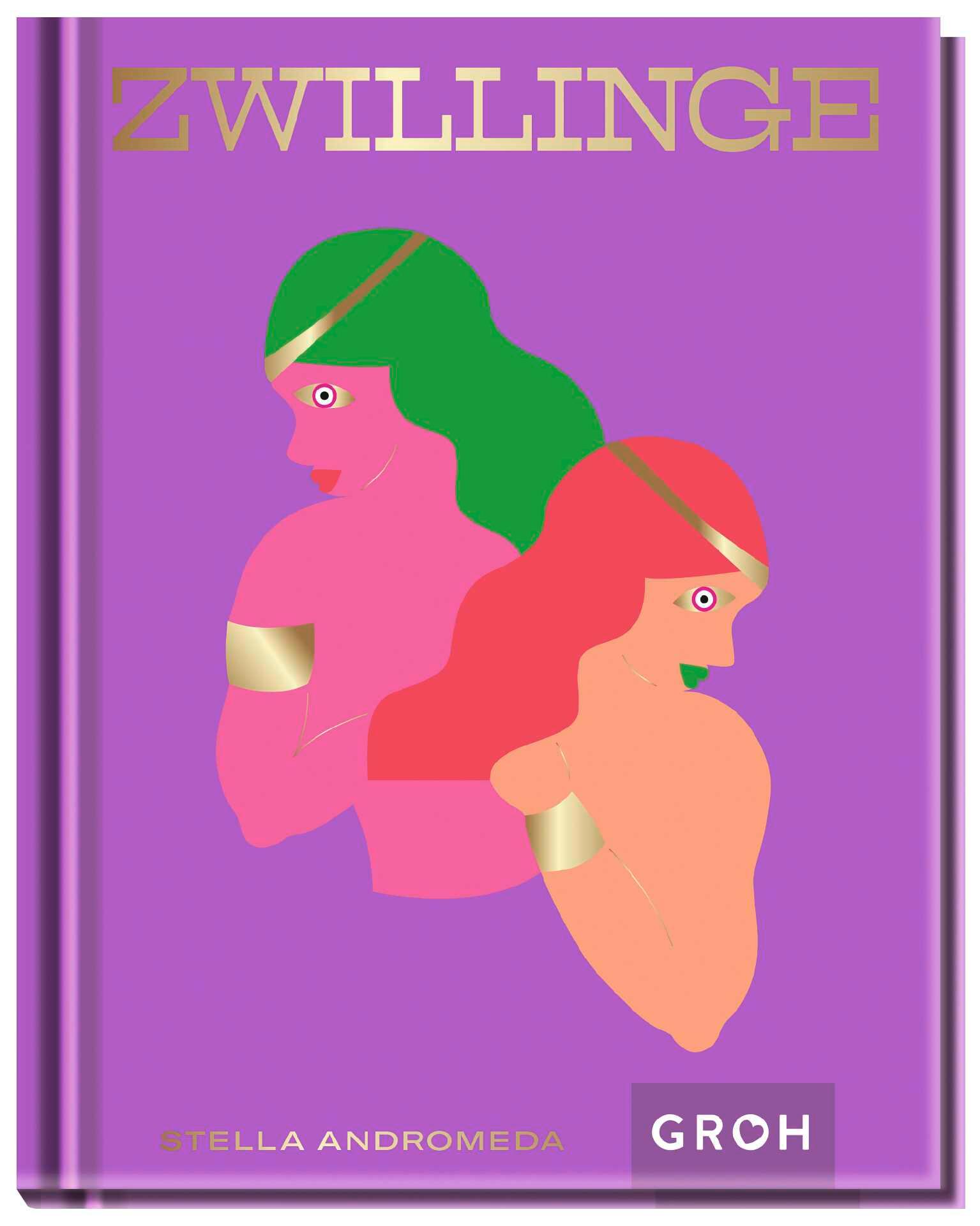 Vorderes Coverbild Zwillinge