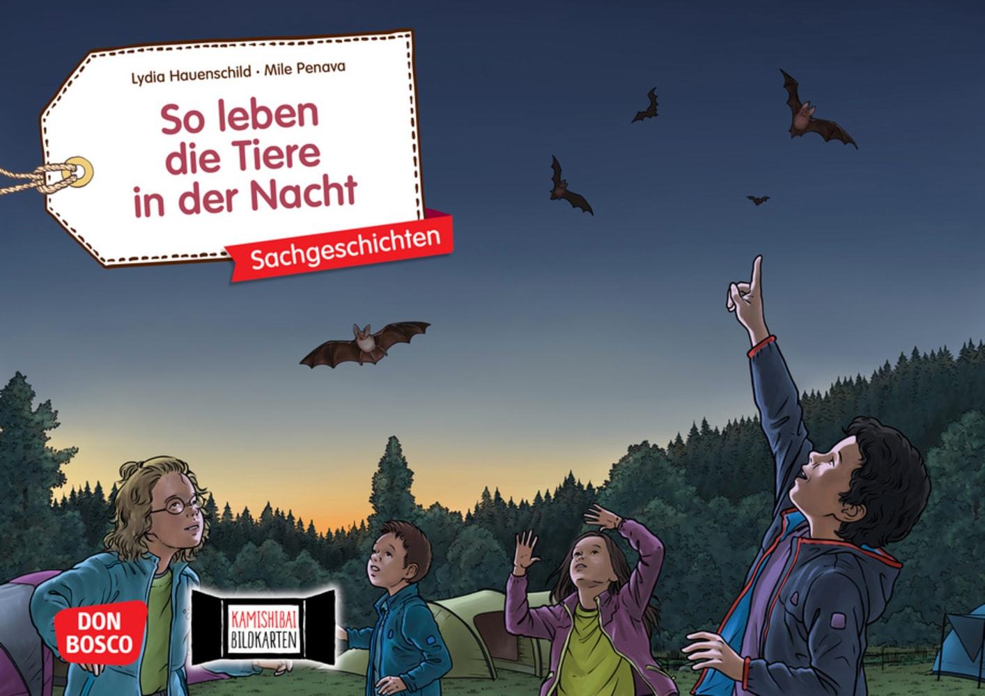 Vorderes Coverbild So leben die Tiere in der Nacht. Kamishibai Bildkartenset