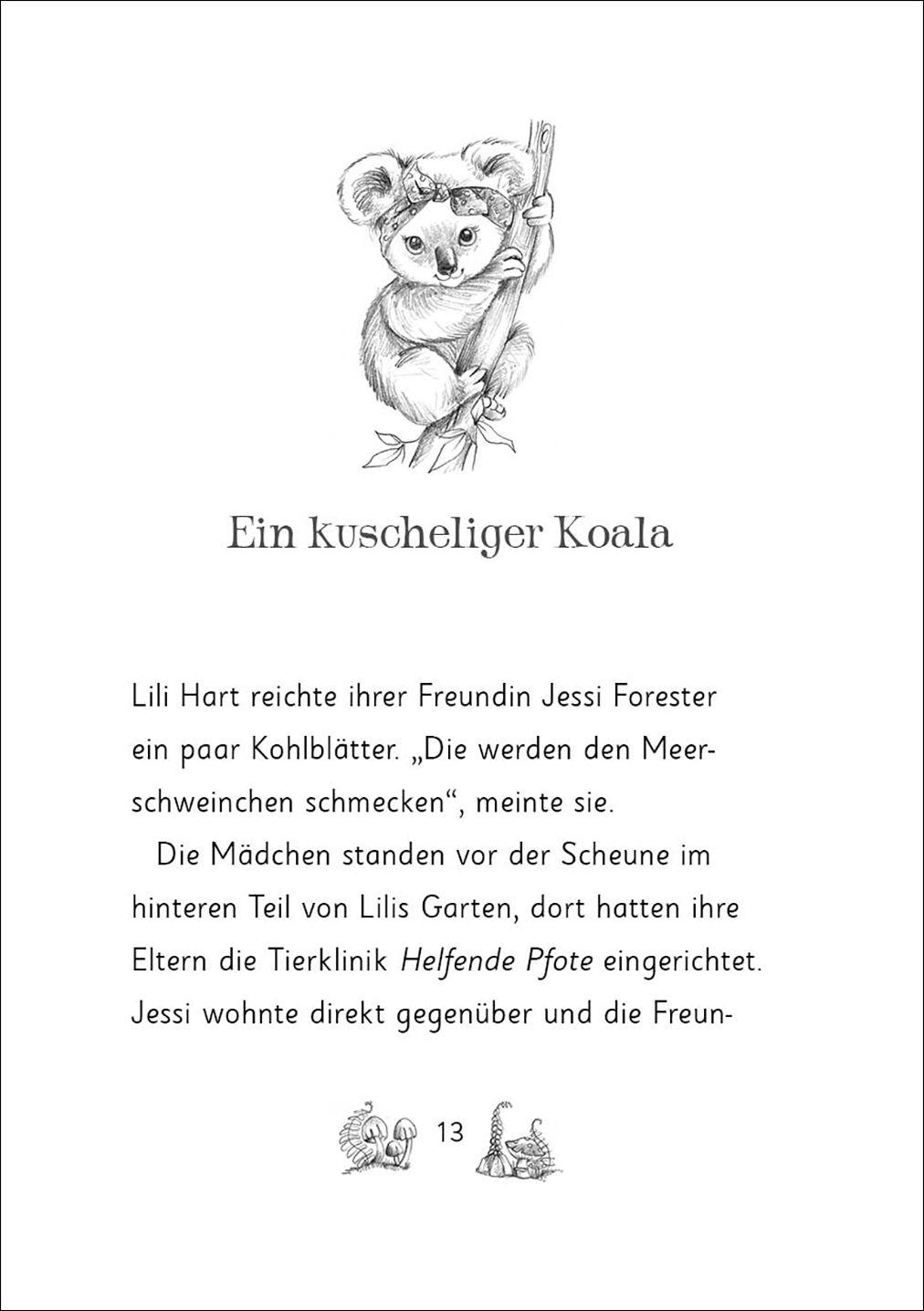 Beispielinhalt (Bild) Die magischen Tierfreunde (Band 17) - Kiki Koala und die magische Schule