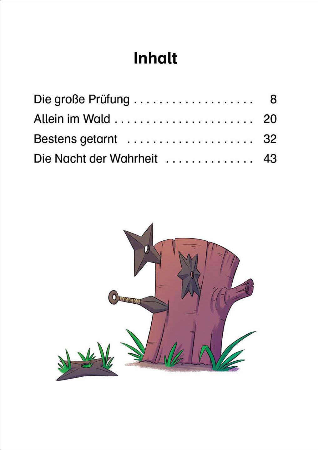 Beispielinhalt (Bild) Leselöwen 2. Klasse - Die große Ninja-Prüfung