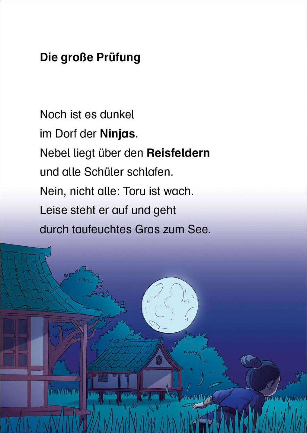 Beispielinhalt (Bild) Leselöwen 2. Klasse - Die große Ninja-Prüfung