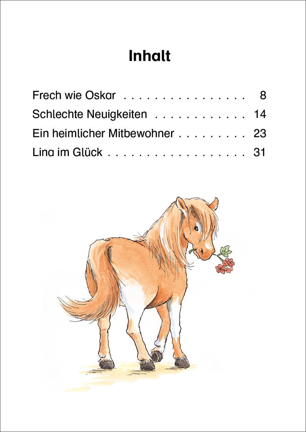 Beispielinhalt (Bild) Leselöwen 1. Klasse - Das neue Pferd in der Reitschule