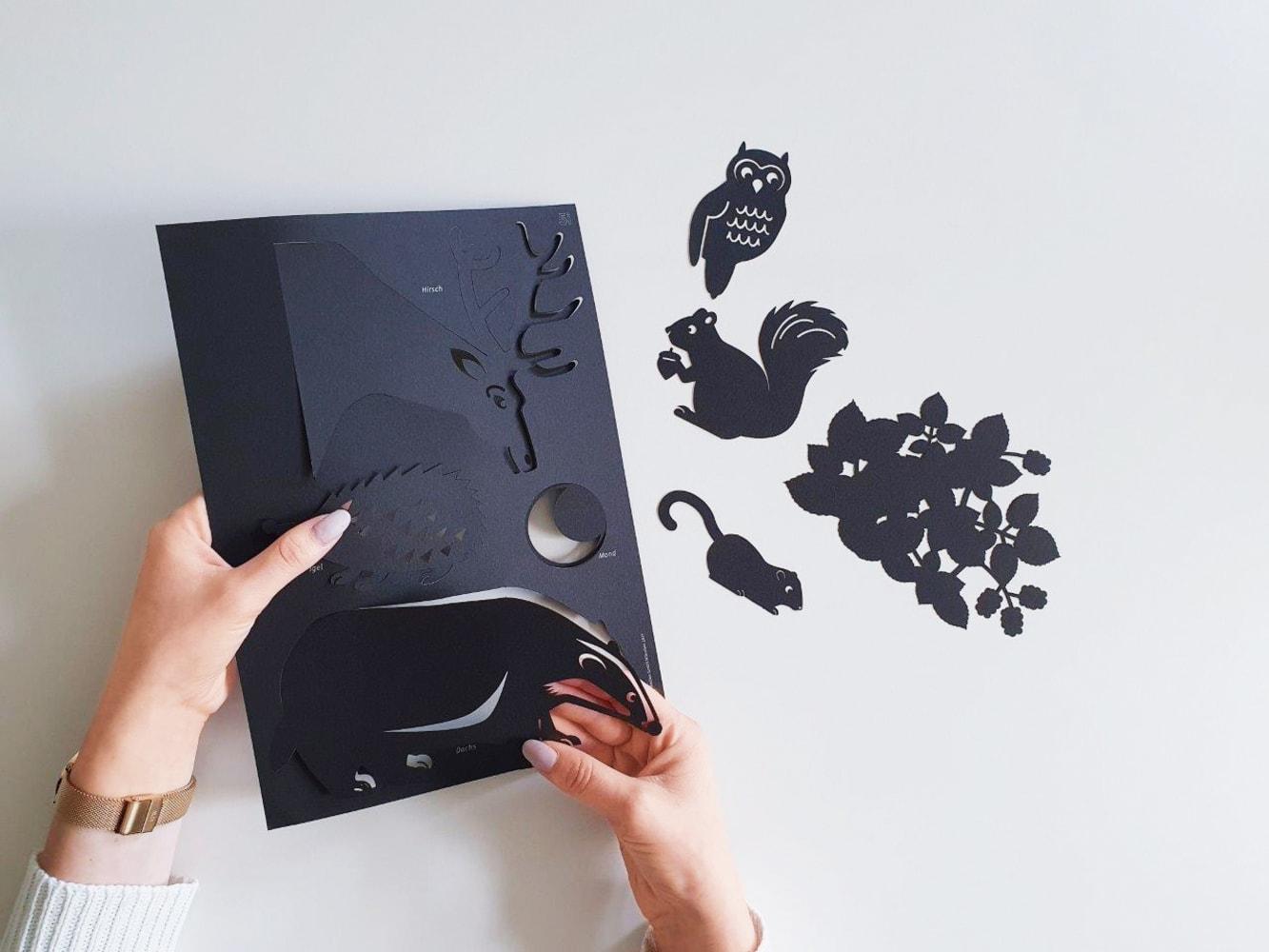 Beispielinhalt (Bild) Der kleine Fuchs folgt einem Stern