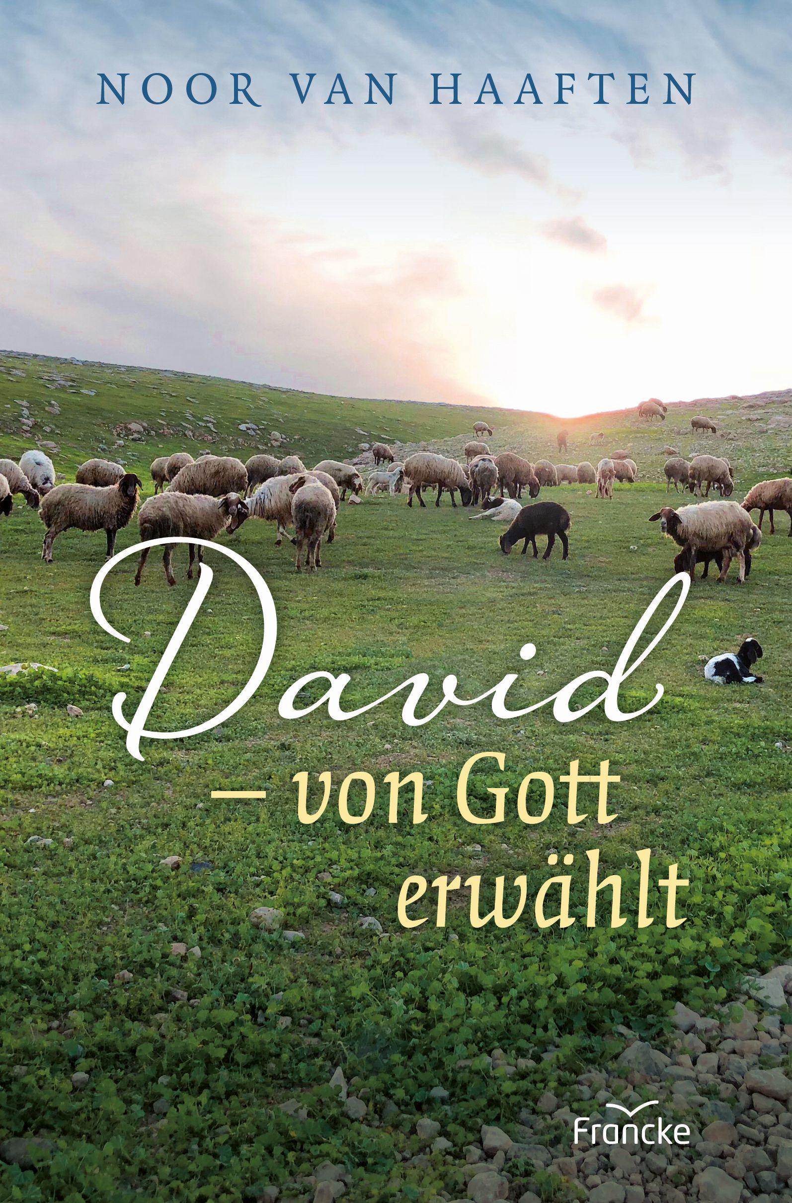 Vorderes Coverbild David - von Gott erwählt