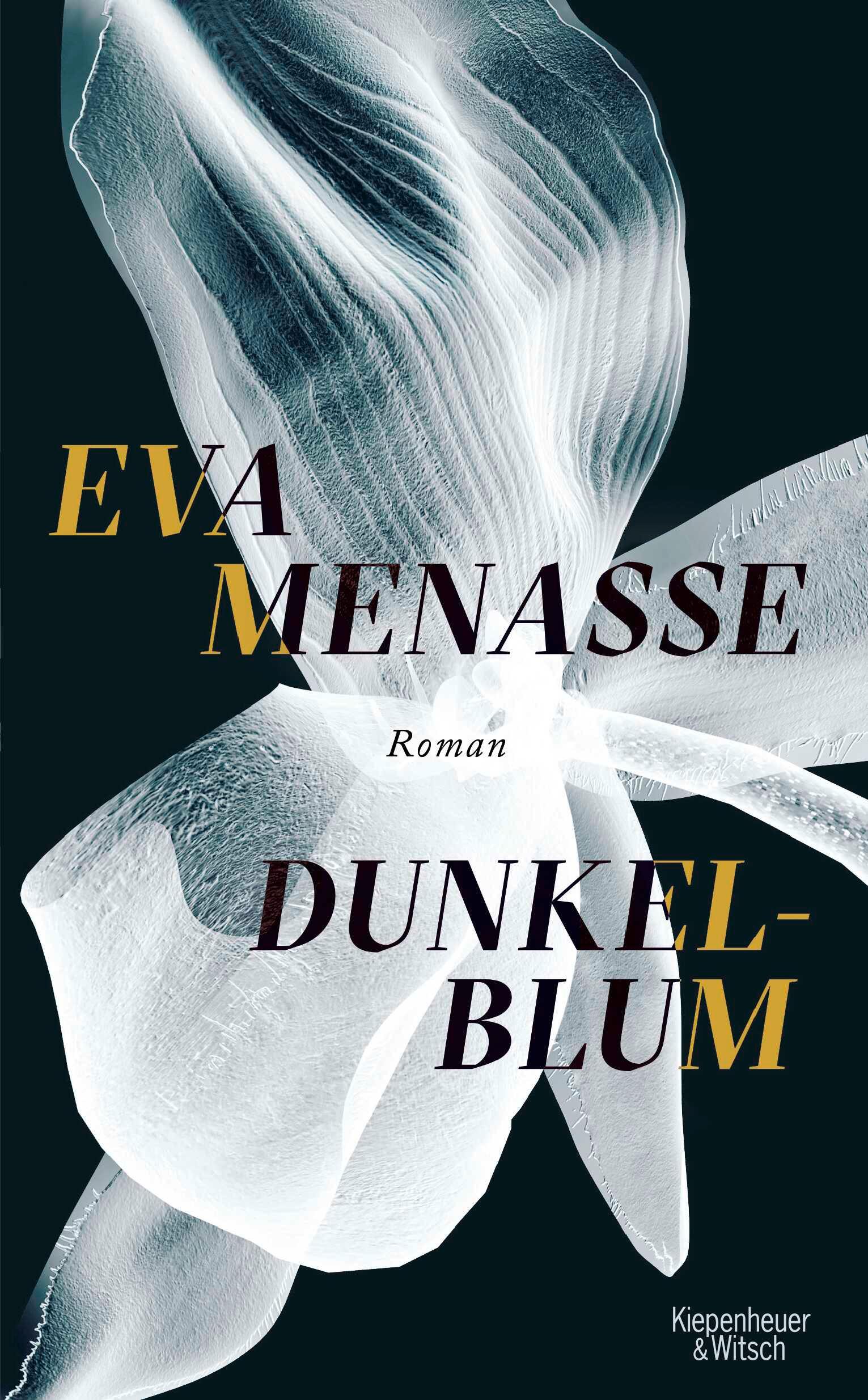 Vorderes Coverbild Dunkelblum