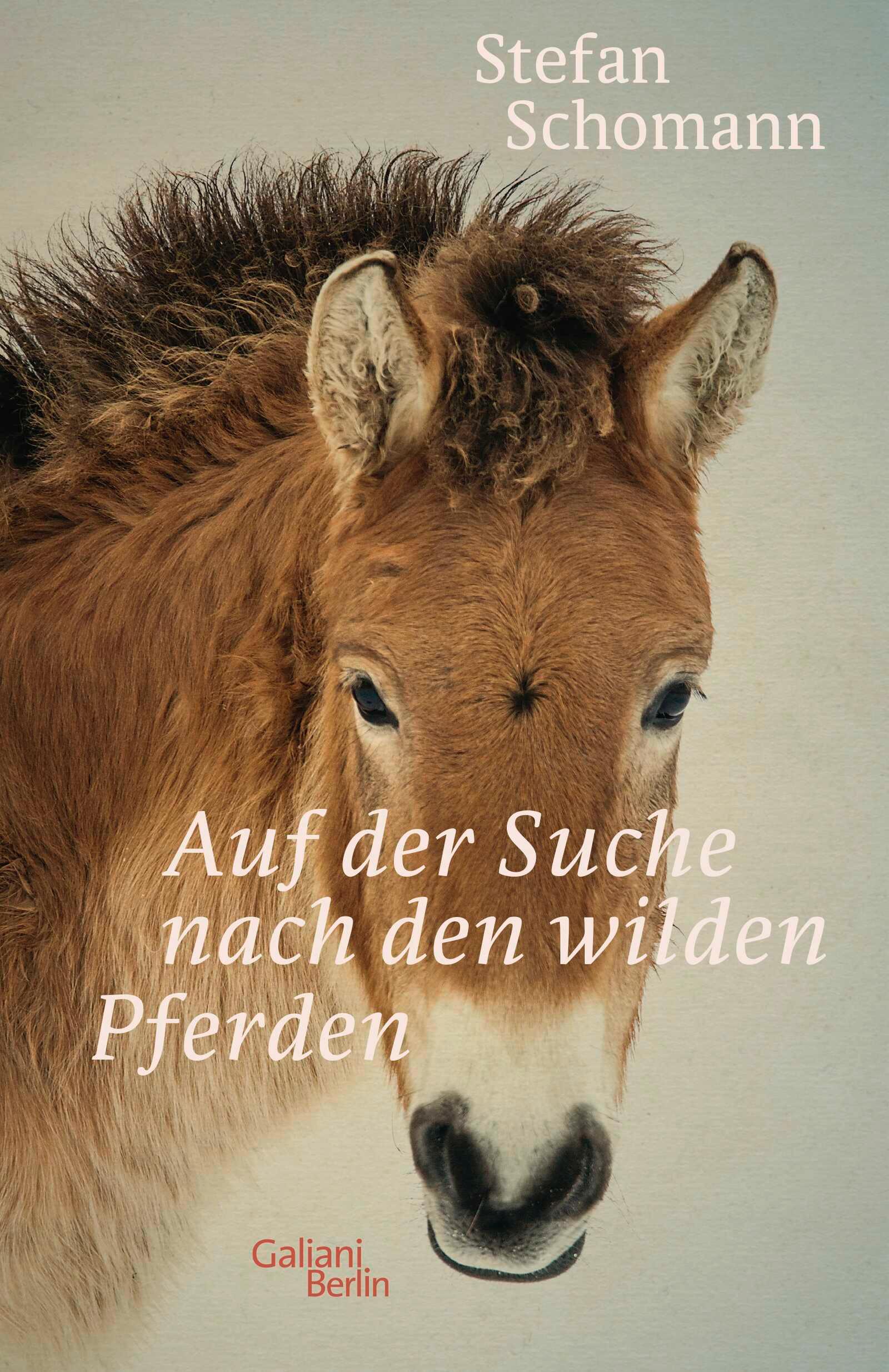 Vorderes Coverbild Auf der Suche nach den wilden Pferden