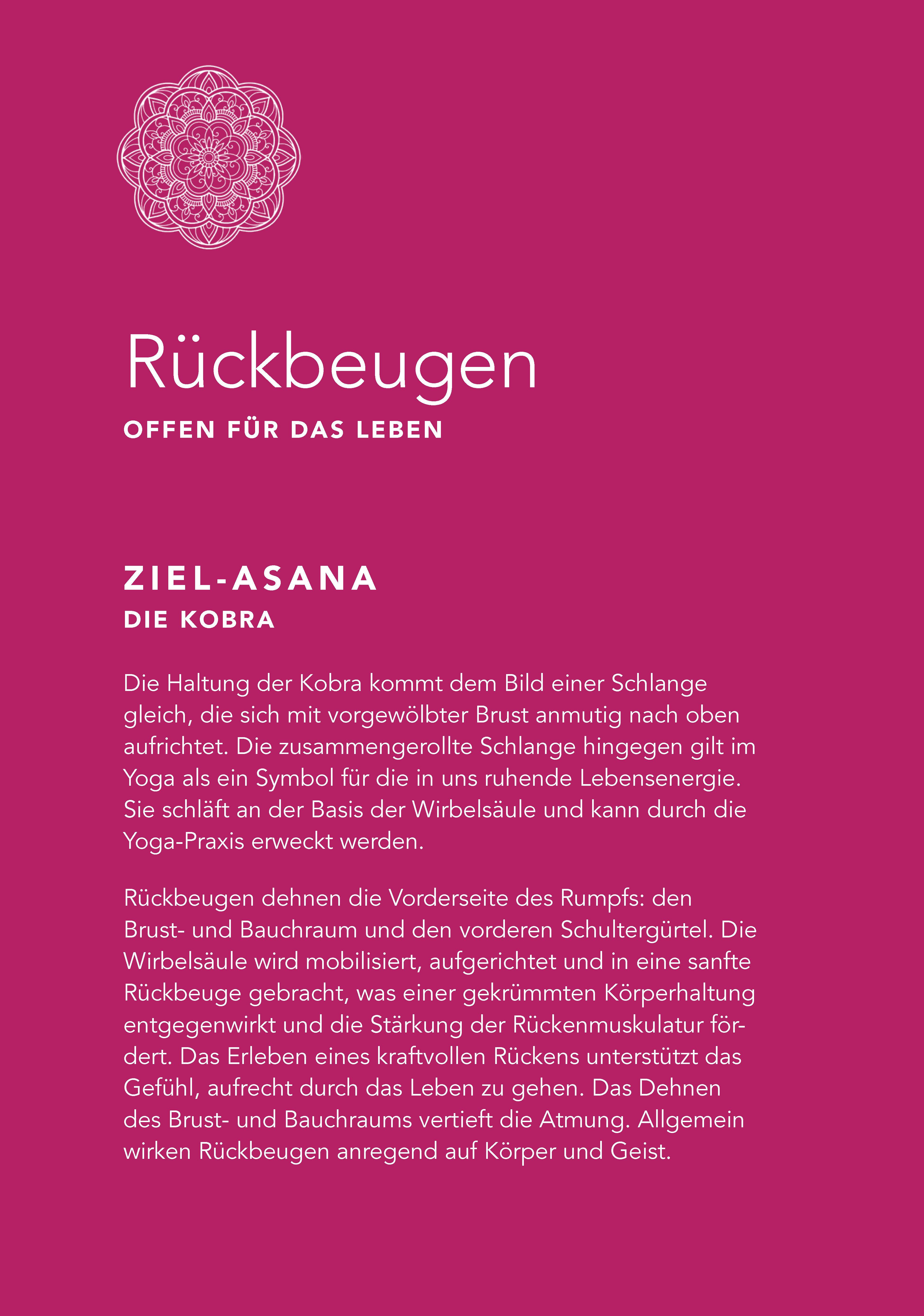 Beispielinhalt (Bild) Yoga auf dem Stuhl für Senioren