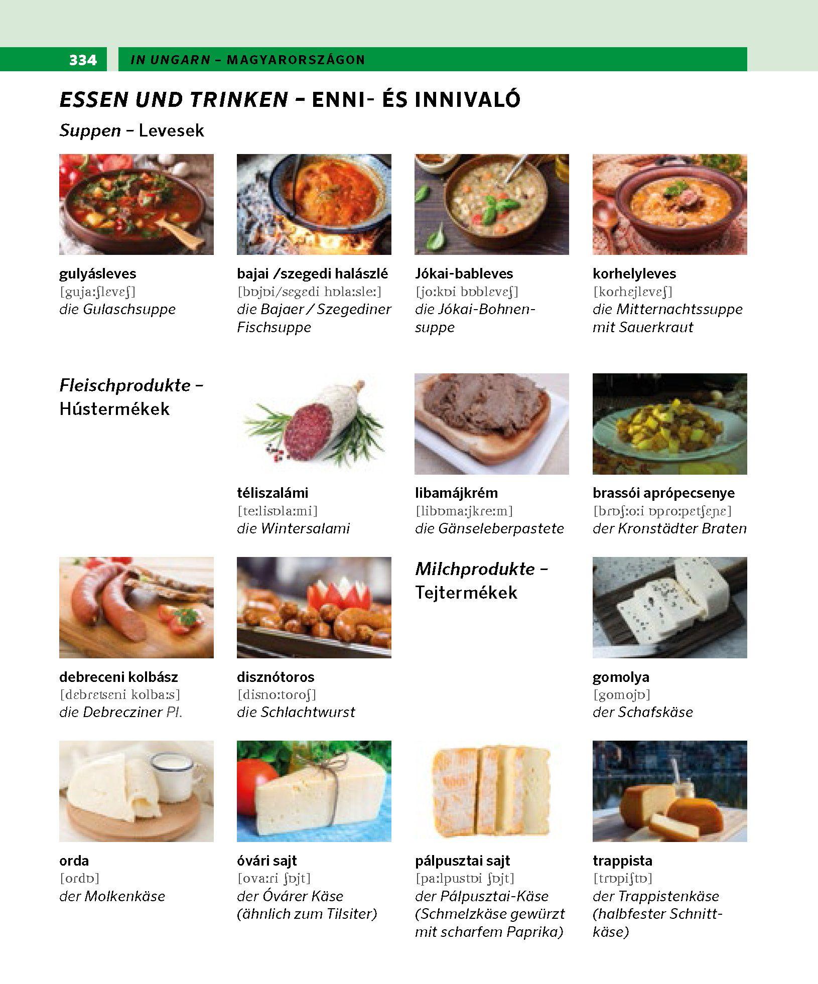 Beispielinhalt (Bild) PONS Bildwörterbuch Ungarisch