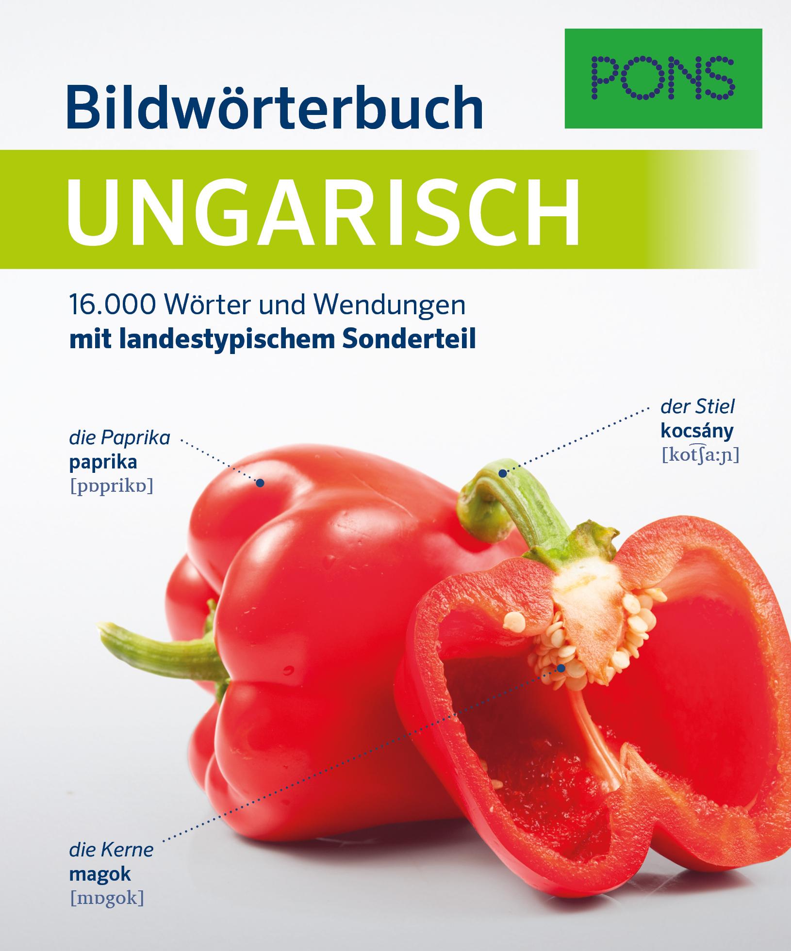 Vorderes Coverbild PONS Bildwörterbuch Ungarisch