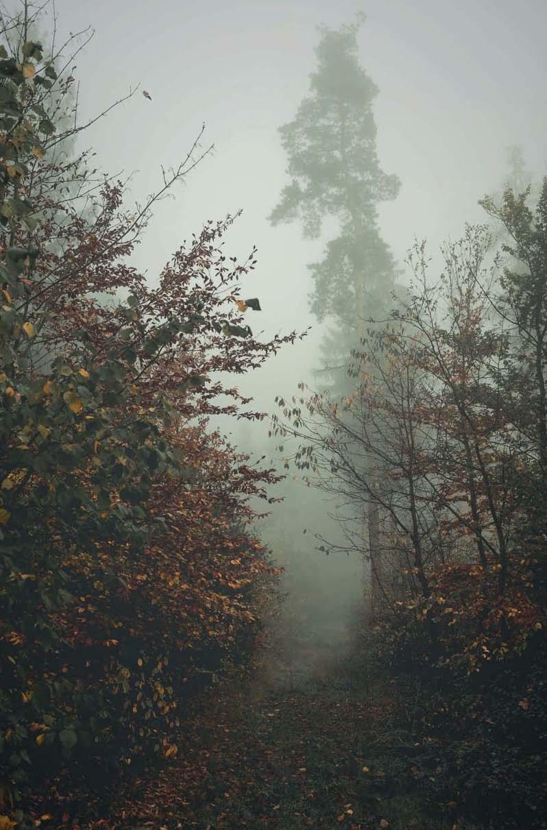 Beispielinhalt (Bild) Von Hexen, Geistern und Verbrechern