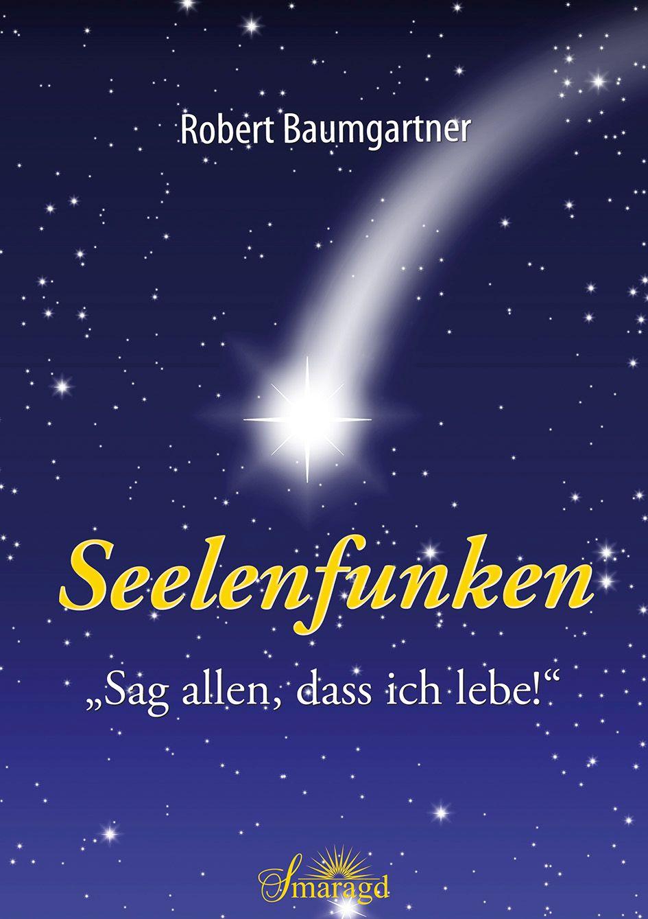 Vorderes Coverbild Seelenfunken