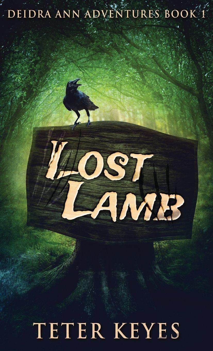 Vorderes Coverbild Lost Lamb