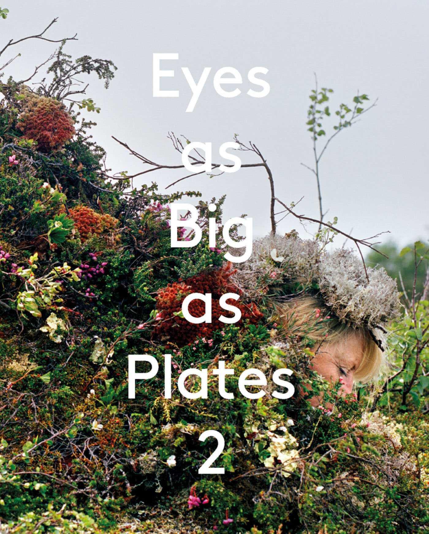 Vorderes Coverbild Eyes as Big as Plates 2