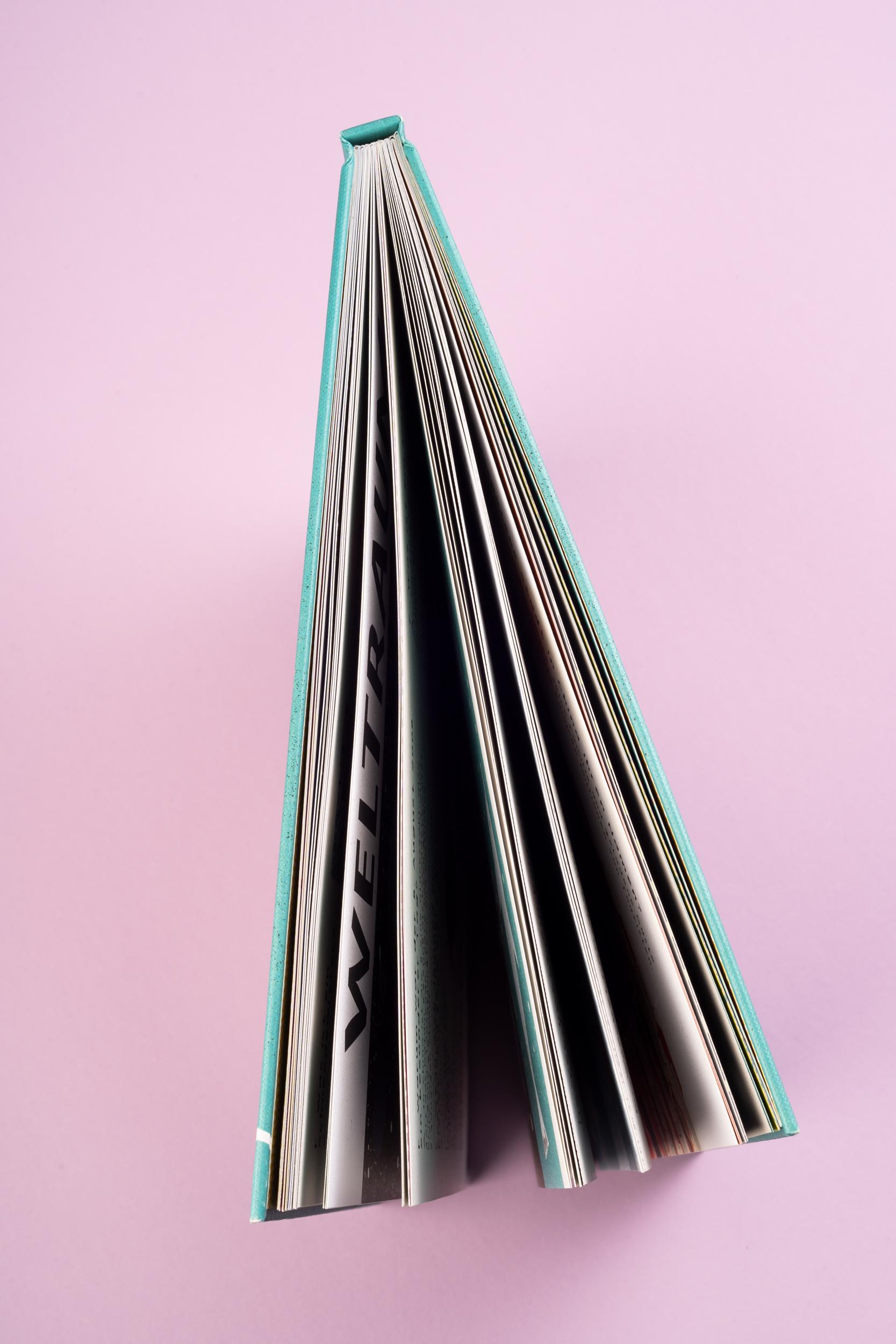 Beispielinhalt (Bild) Die Enzyklopädie der unglaublichen Fakten