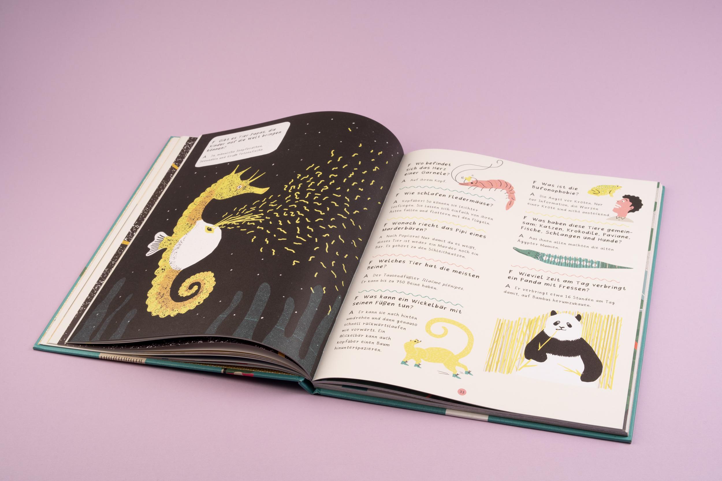 Beispielinhalt (Bild) Die Enzyklopädie der unglaublichen Fakten