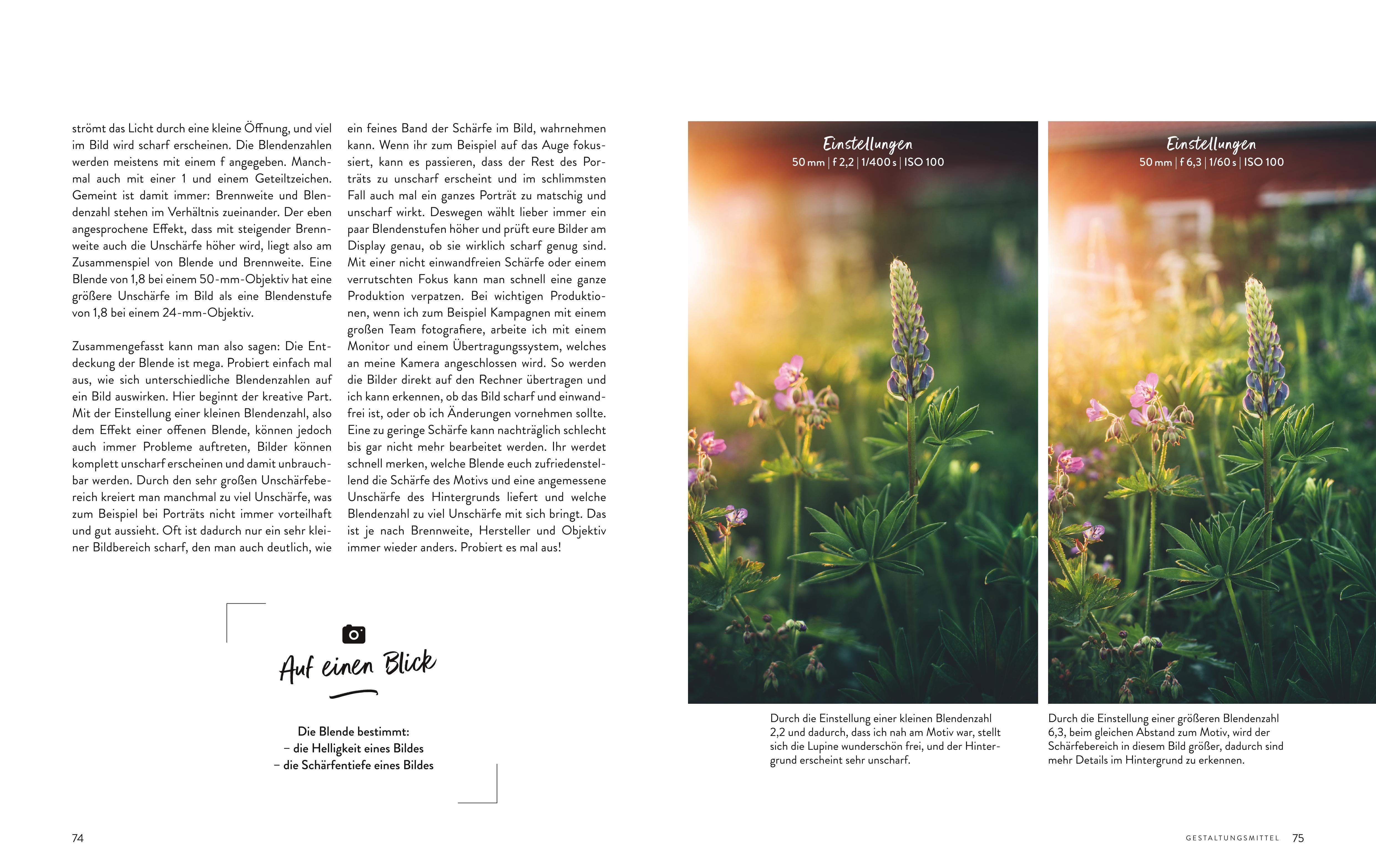 Beispielinhalt (Bild) Fotografie - Inspired by life