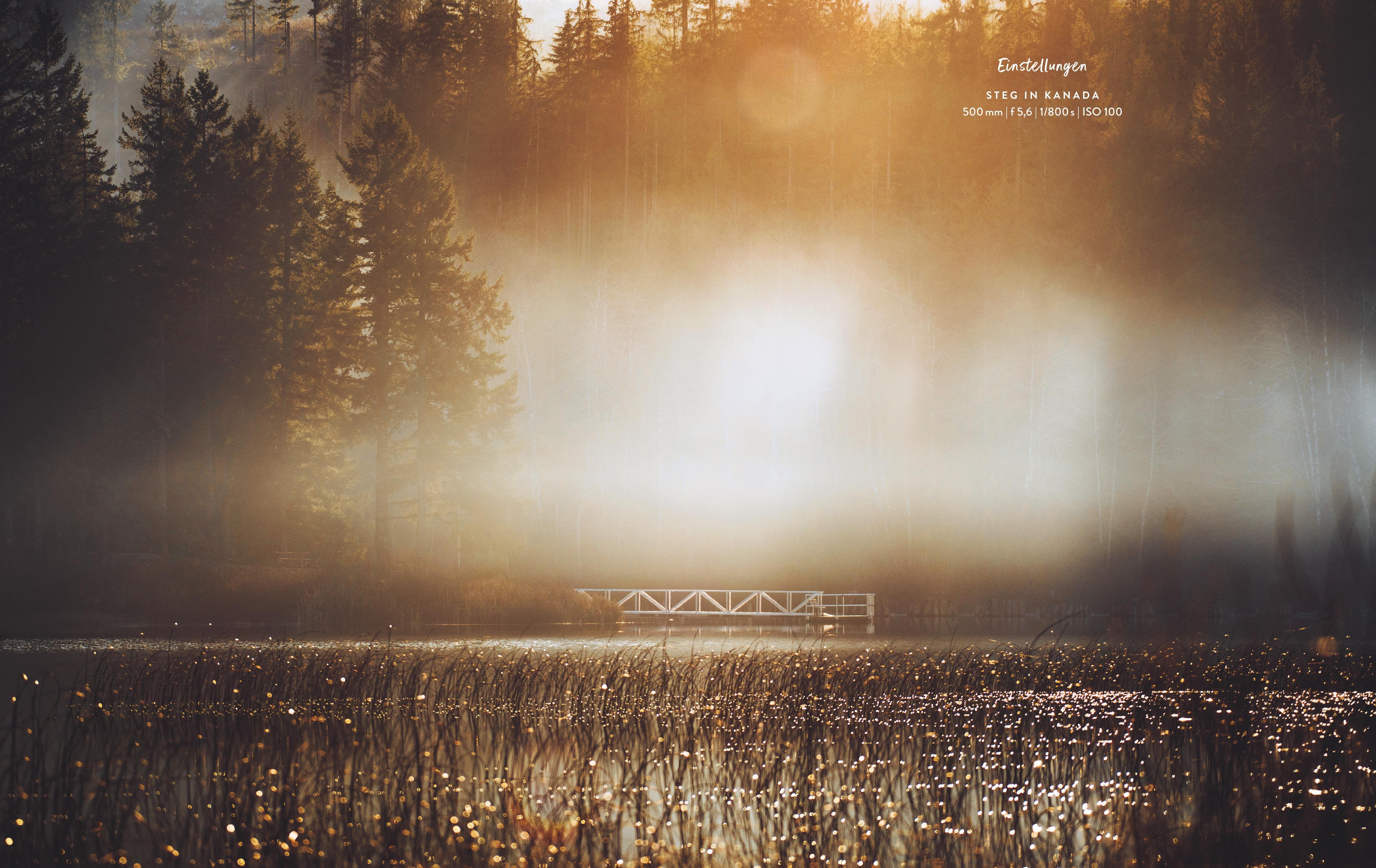 Beispielinhalt (Bild) Fotografie - Inspired by life