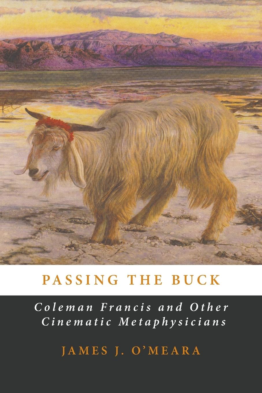 Vorderes Coverbild Passing the Buck