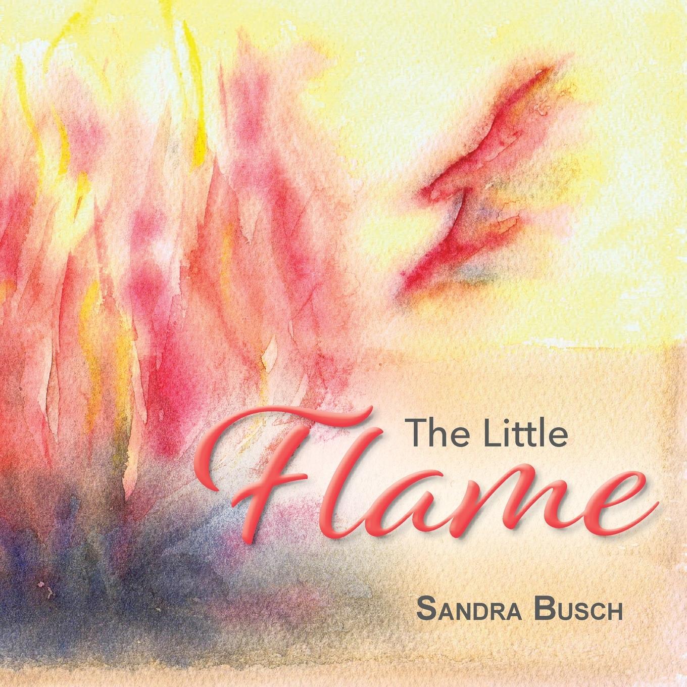 Vorderes Coverbild The Little Flame