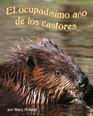 Vorderes Coverbild El Ocupadísimo Año de Los Castores (Beavers' Busy Year, The)